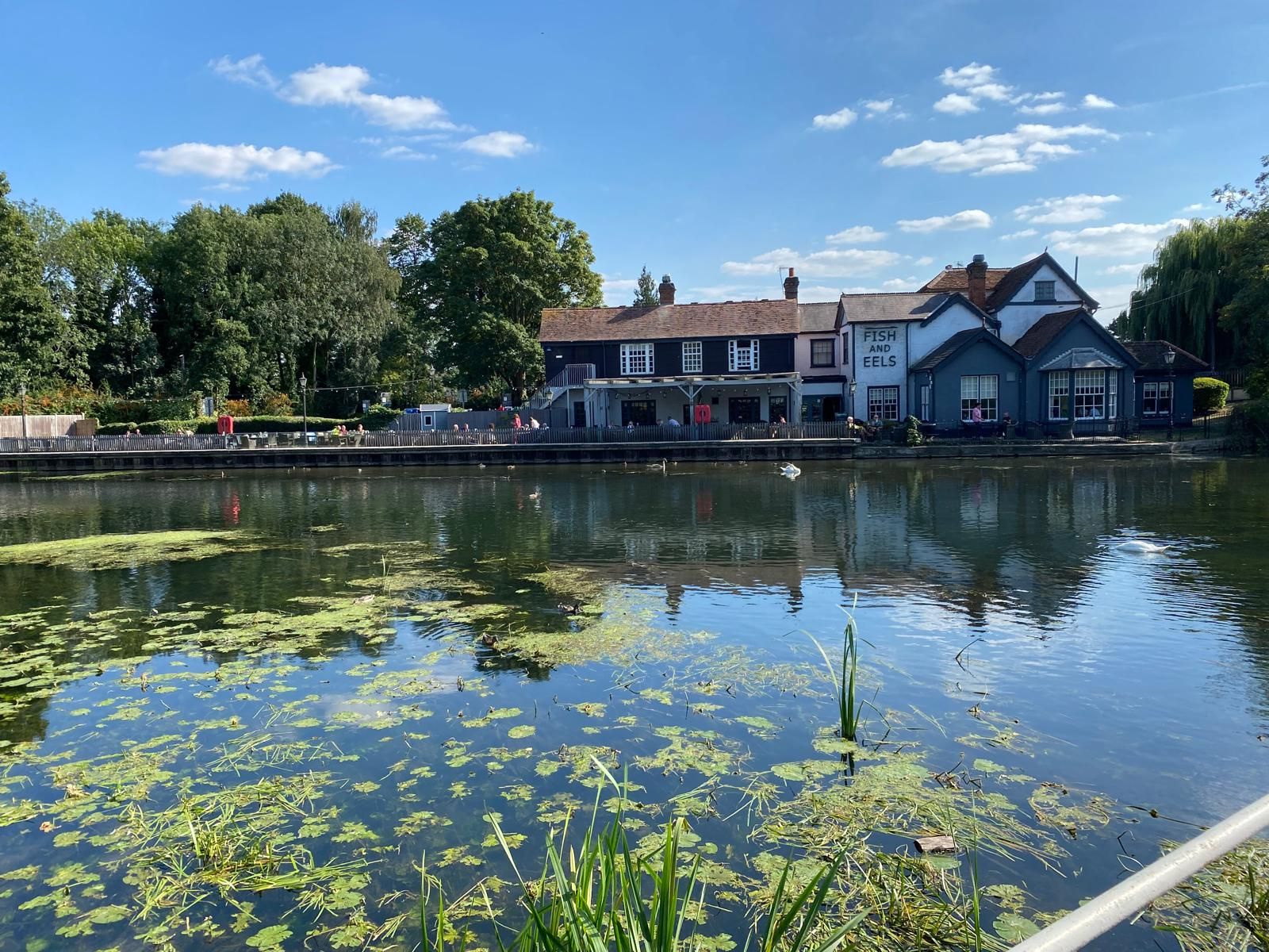 The Fish and Eels pub  on the Navigation