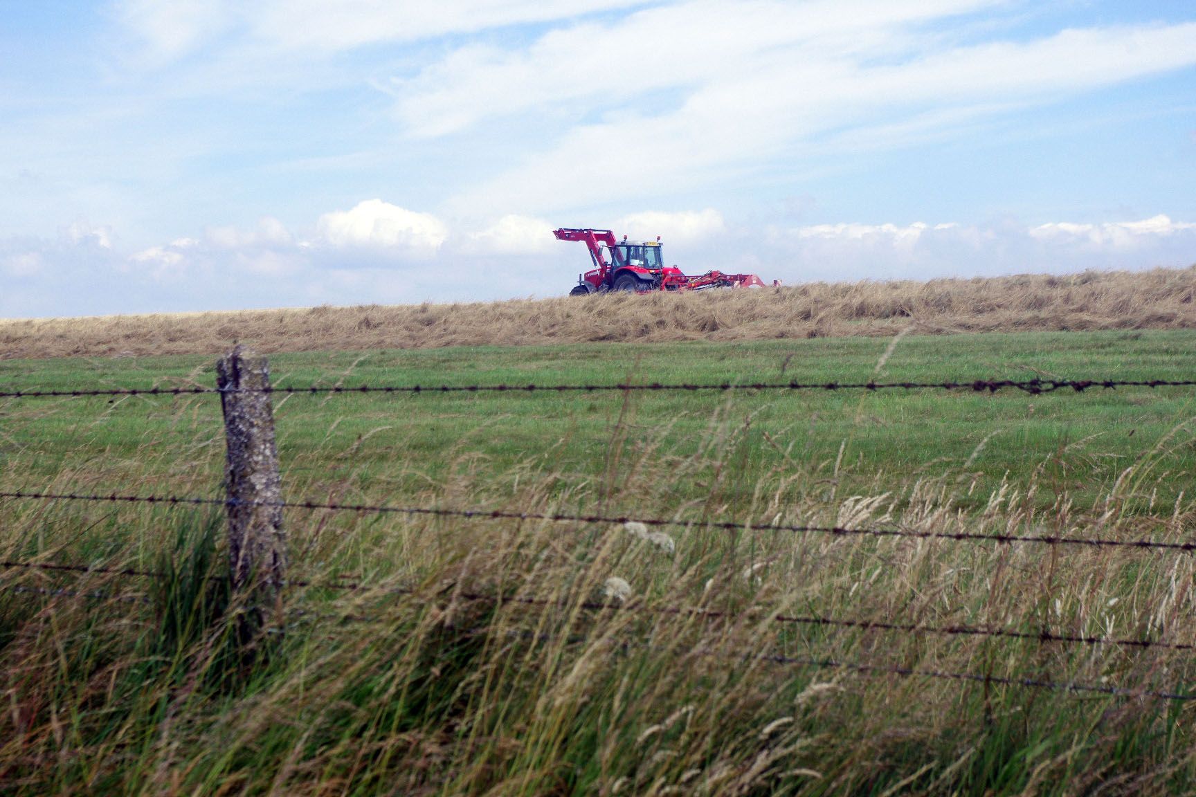 Telscombe Tye