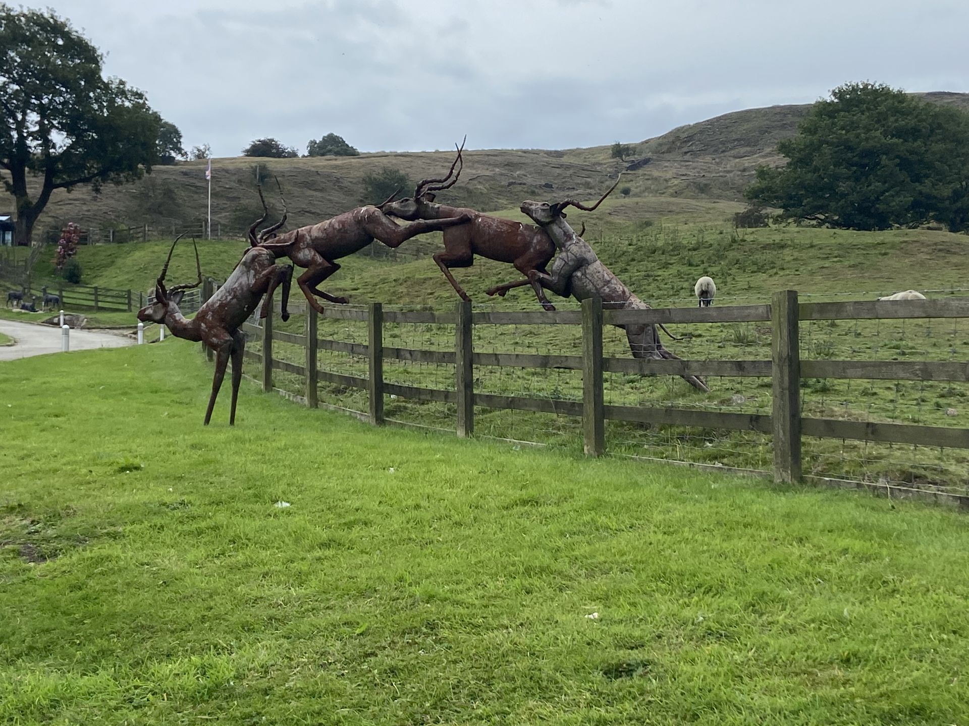 Leaping deer