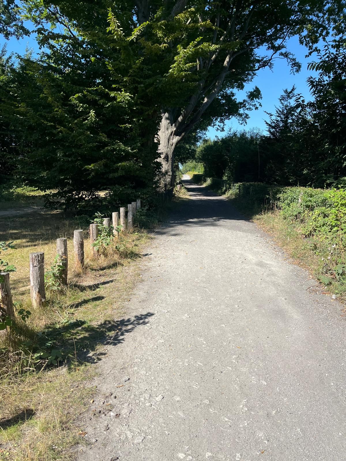 Oaken Wood