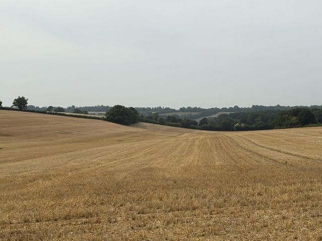 View across Lea valley