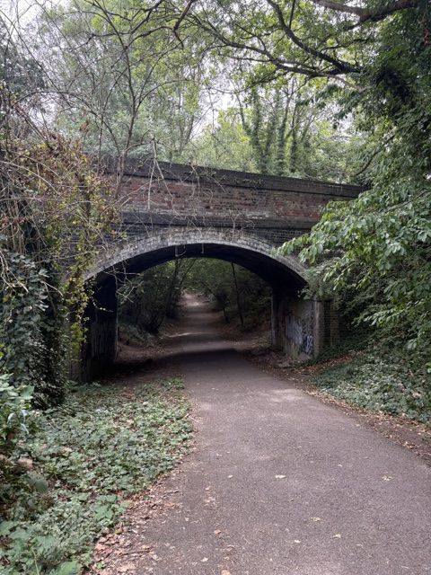 Disused railway bridge