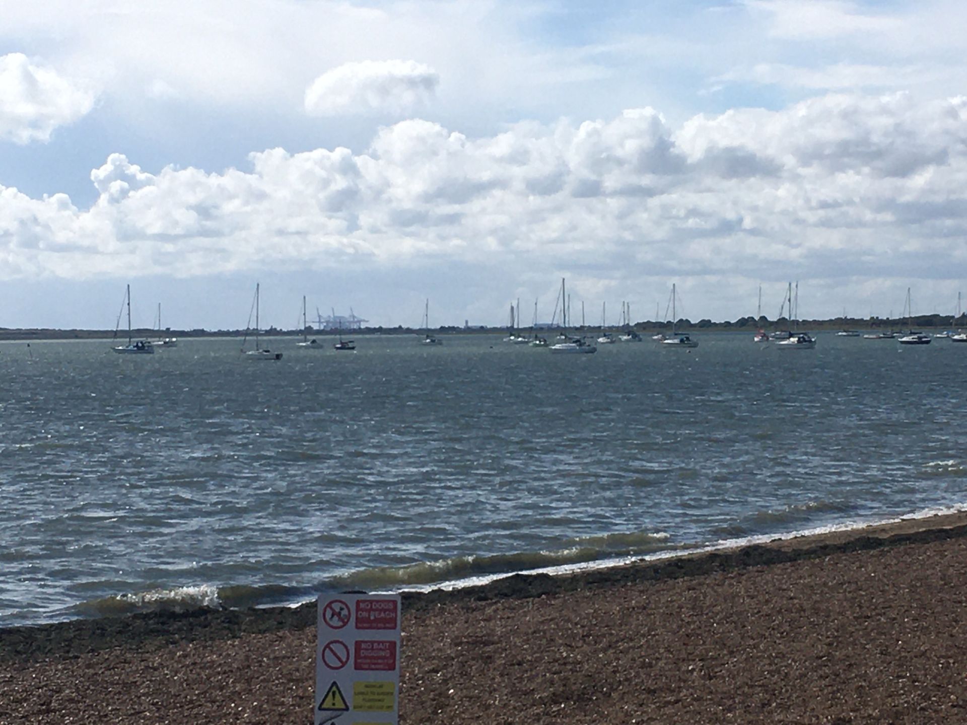 Boats in the harbour near Chalkwell