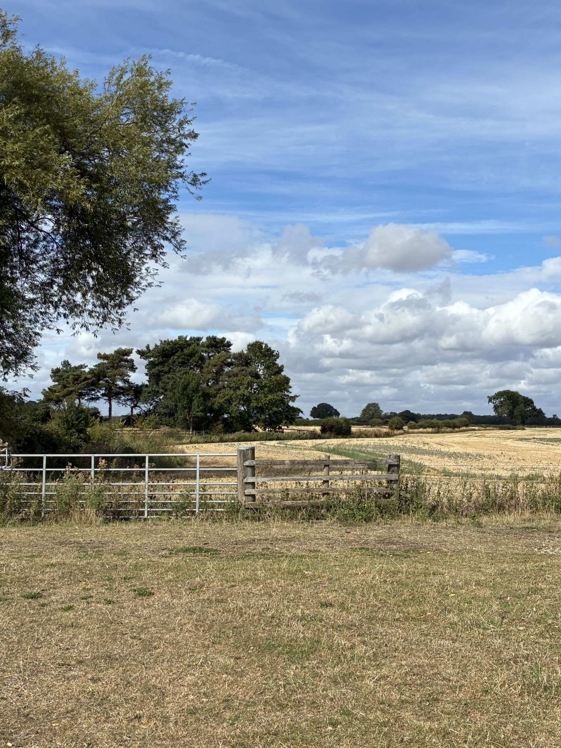 field views