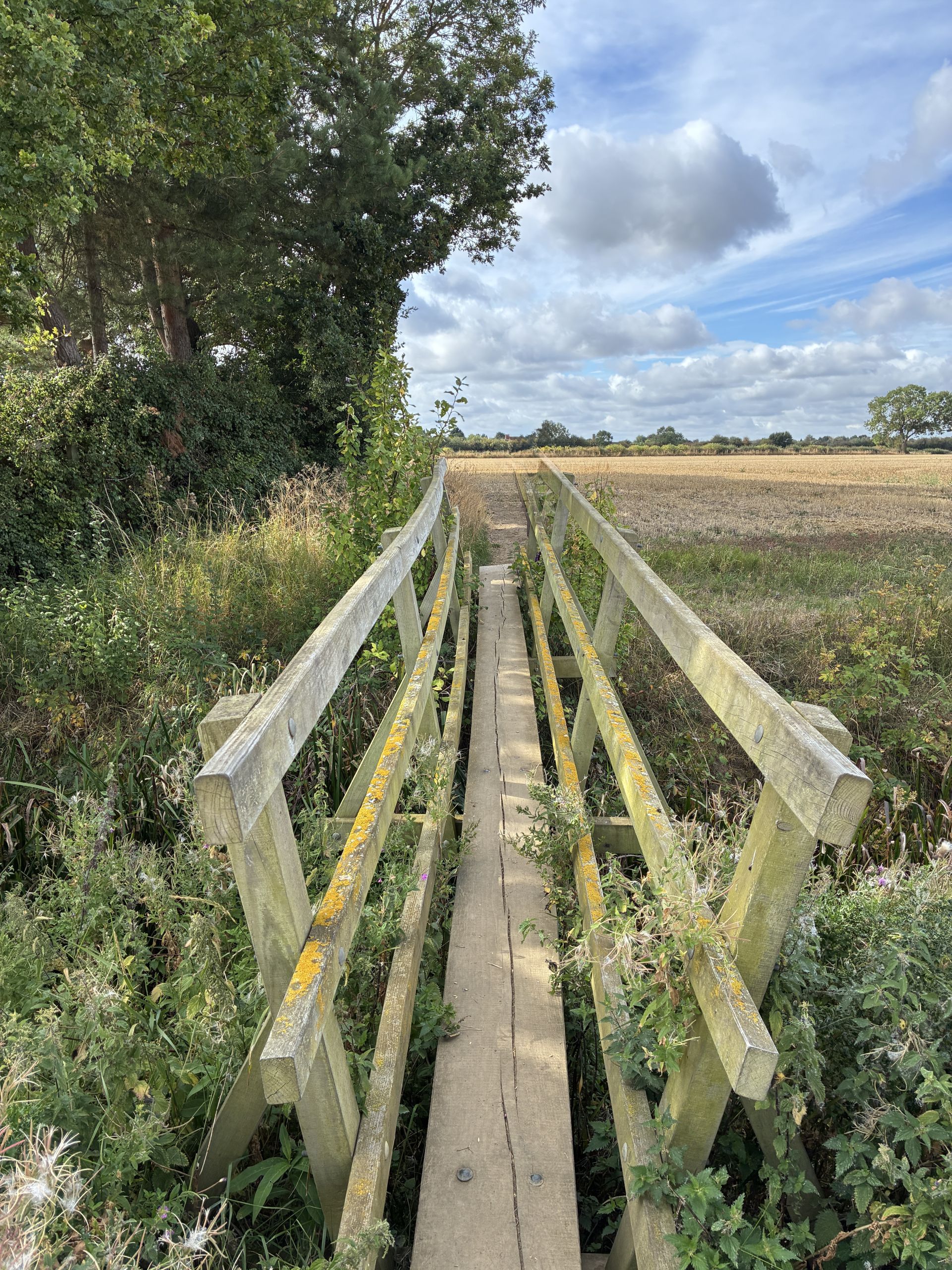 foot bridge
