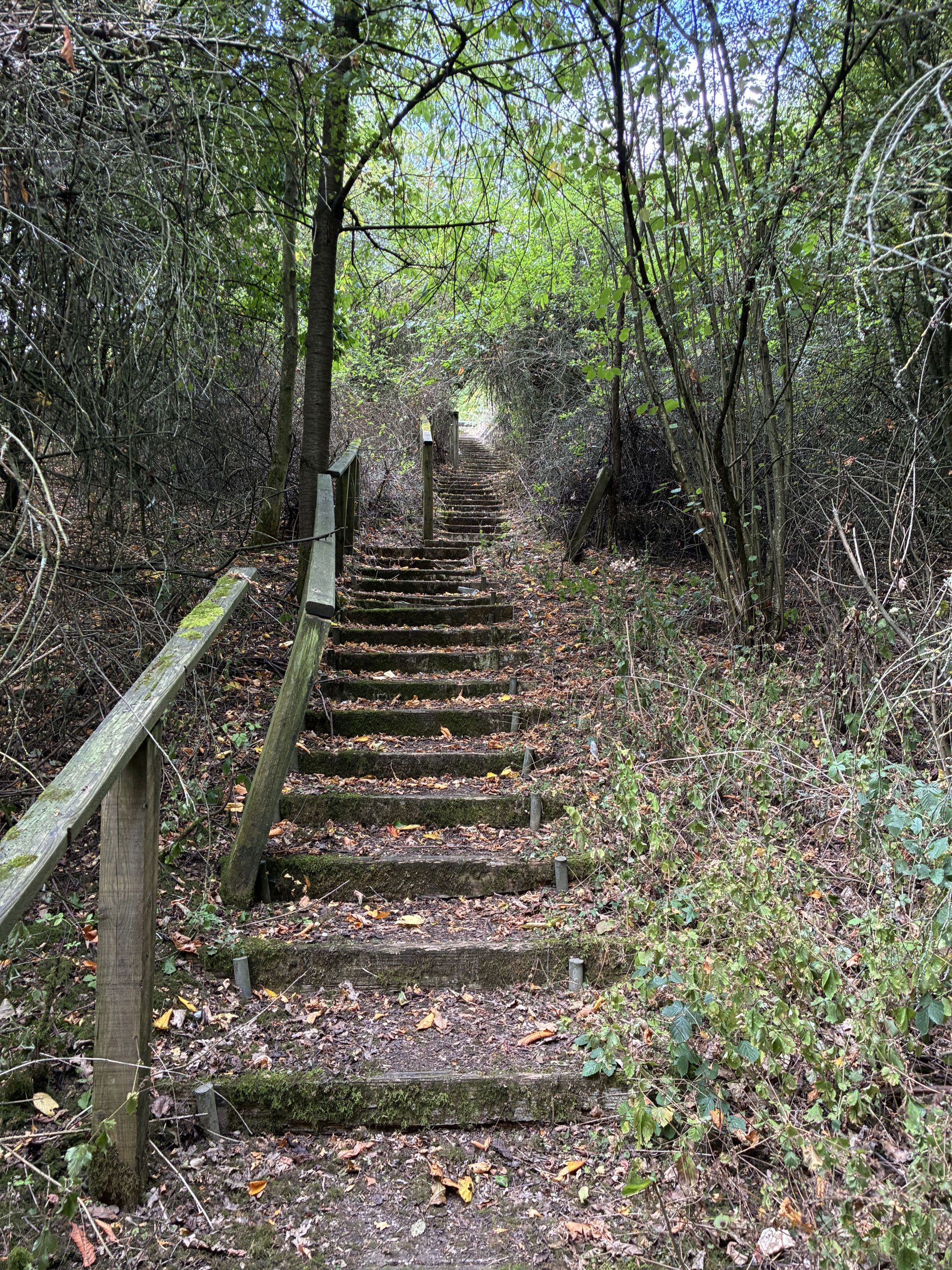 steps