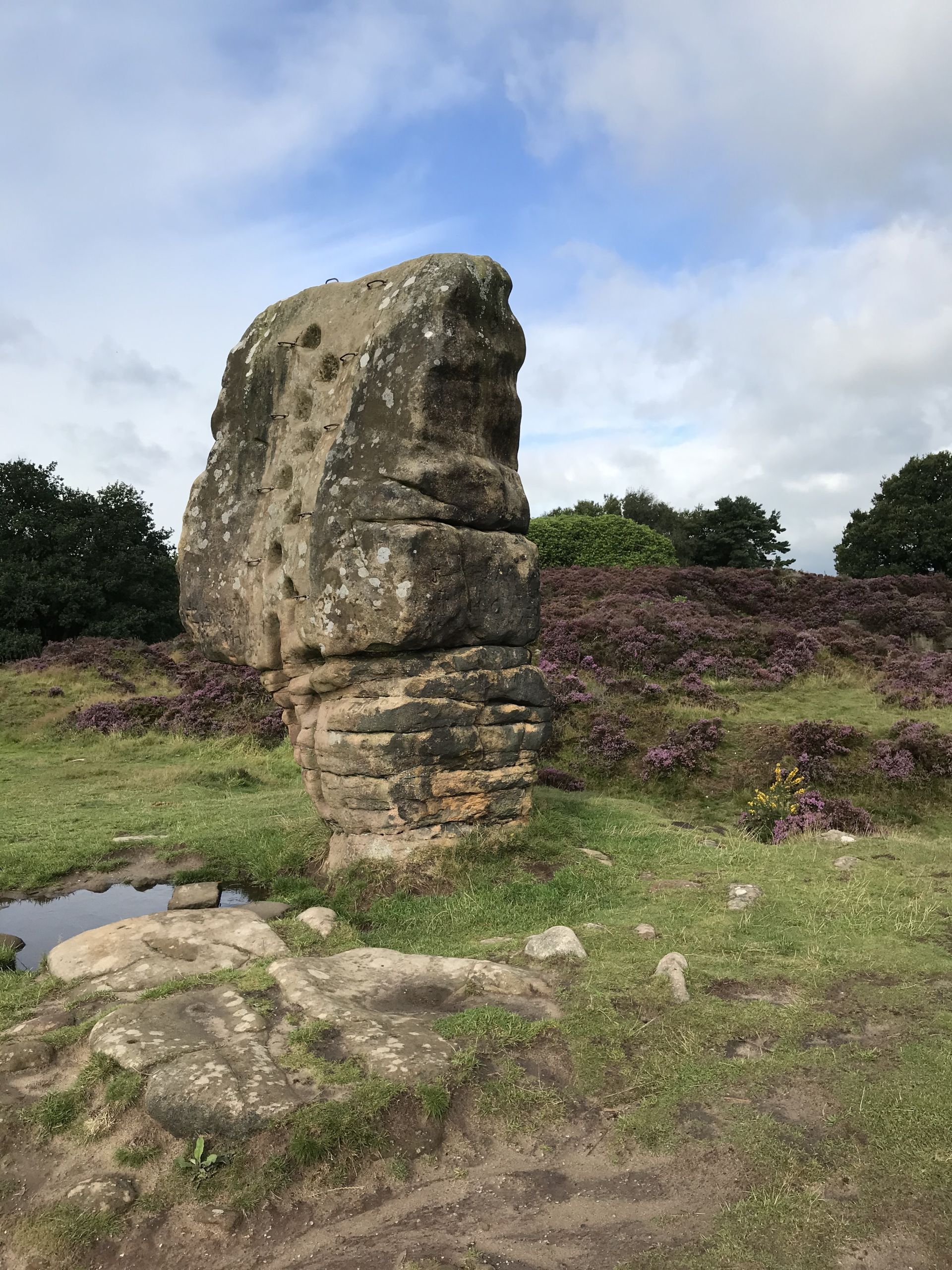 Cork Stone