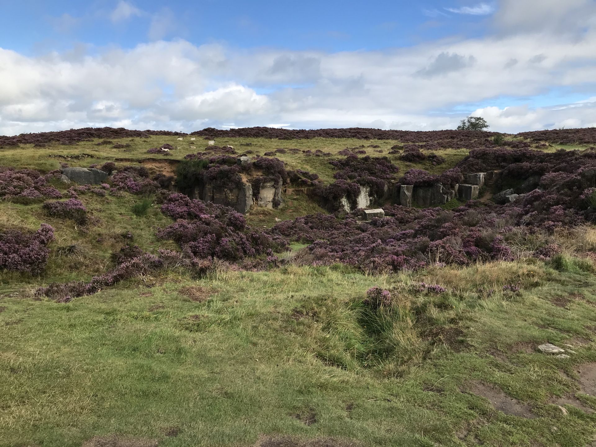 On Stanton Moor