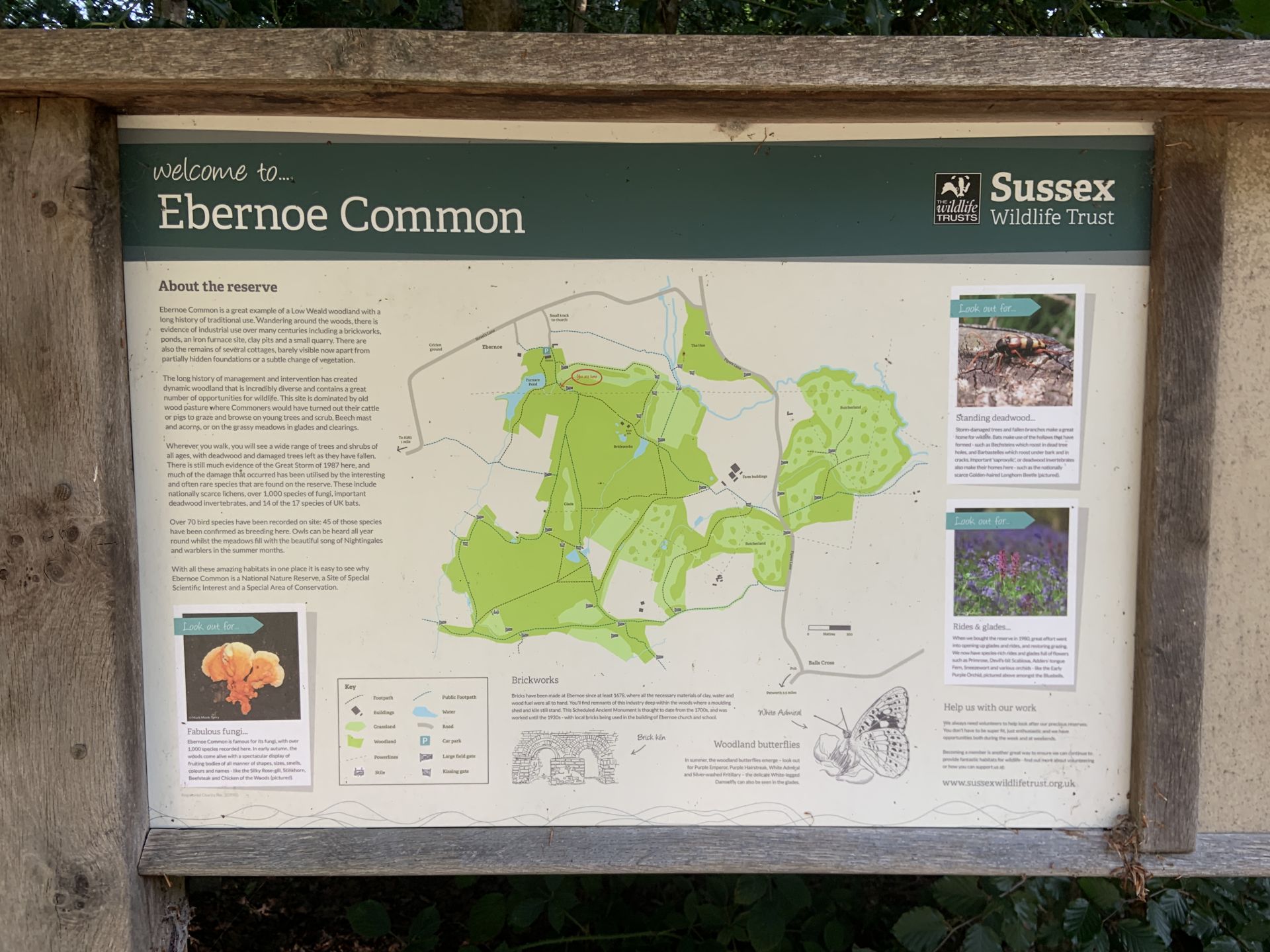 Ebernoe Common notice board