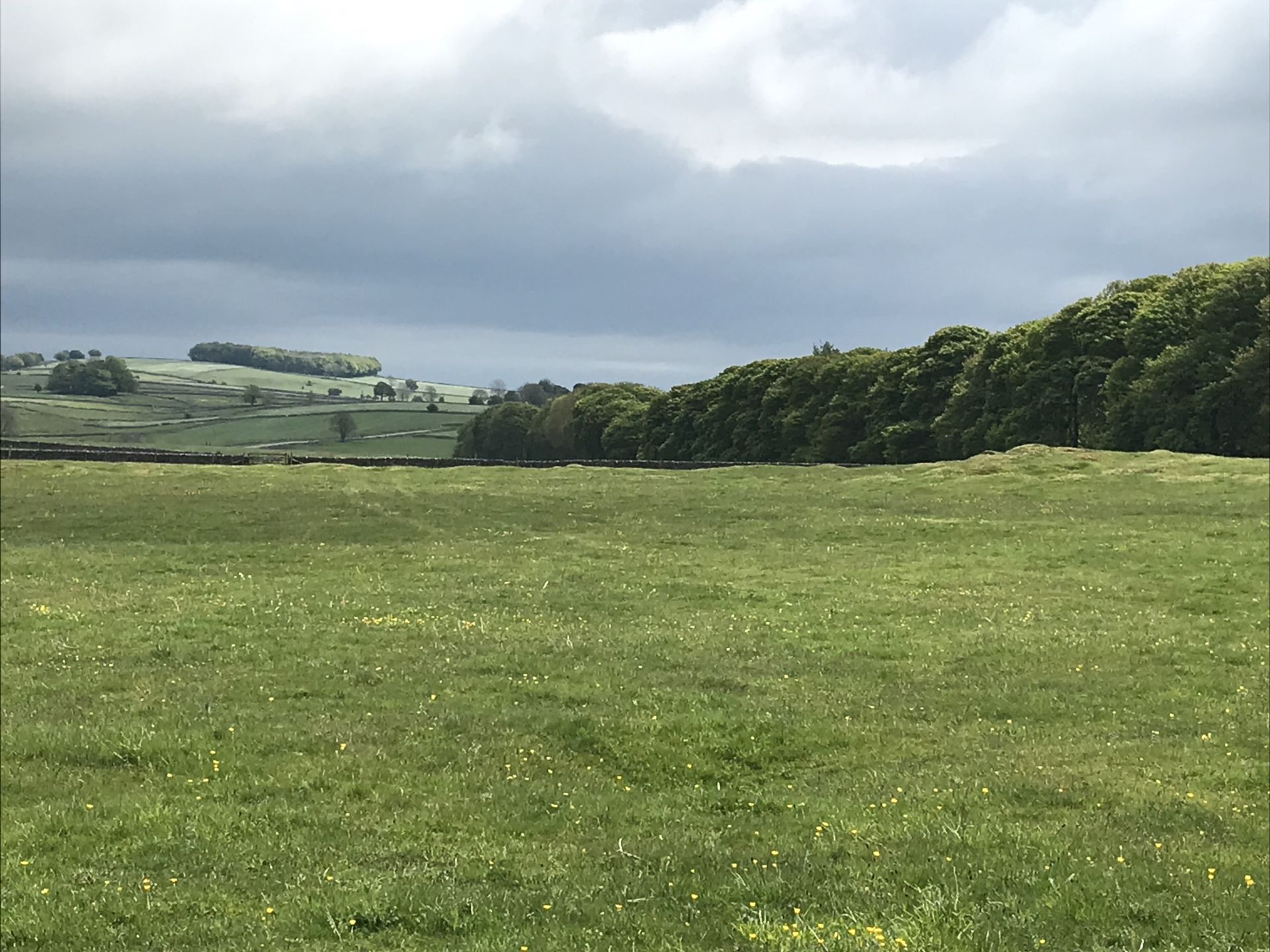 Near Flagg
