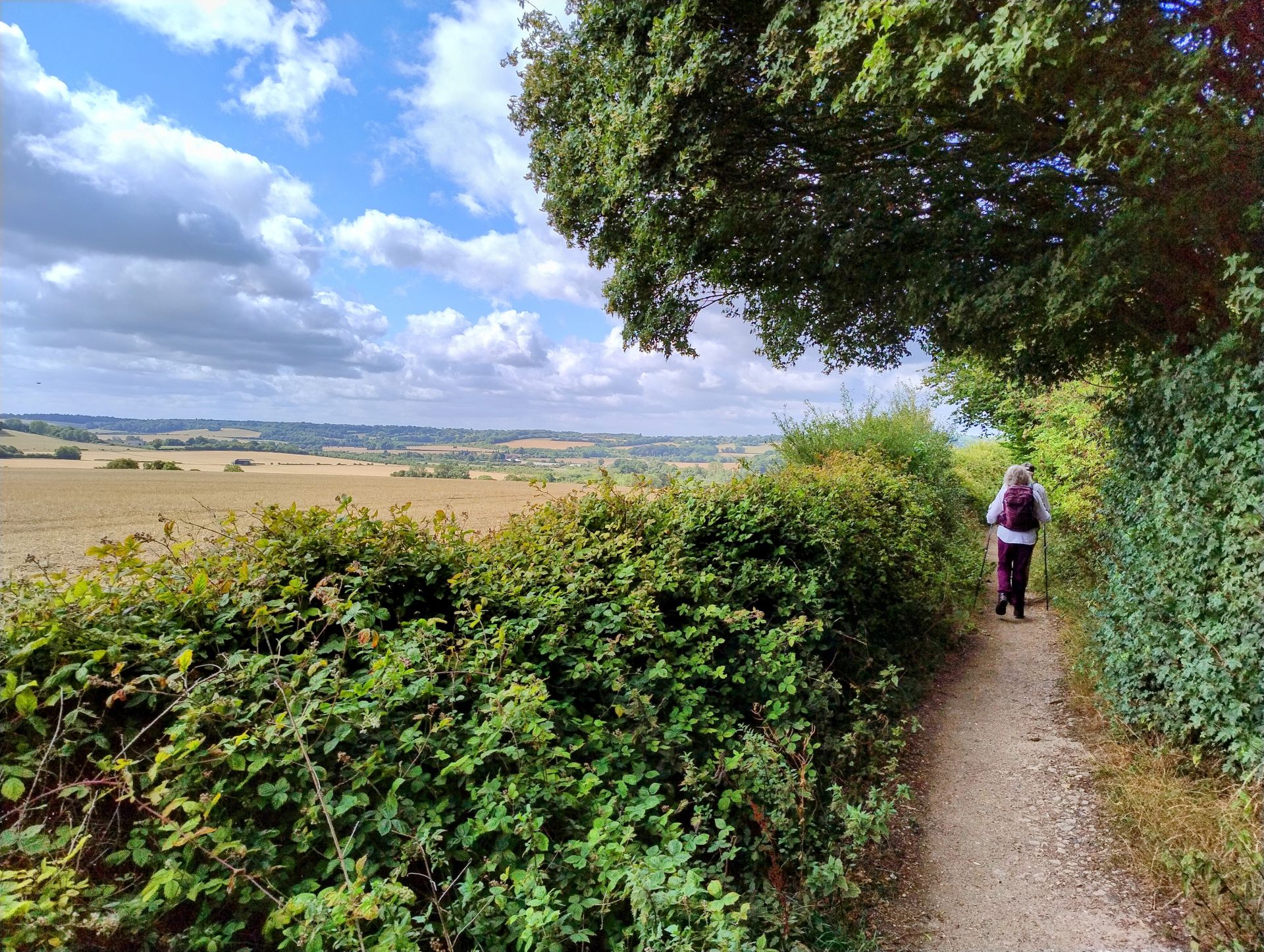 A narrow hedge lined path with a view over a valley on a warm summer day.