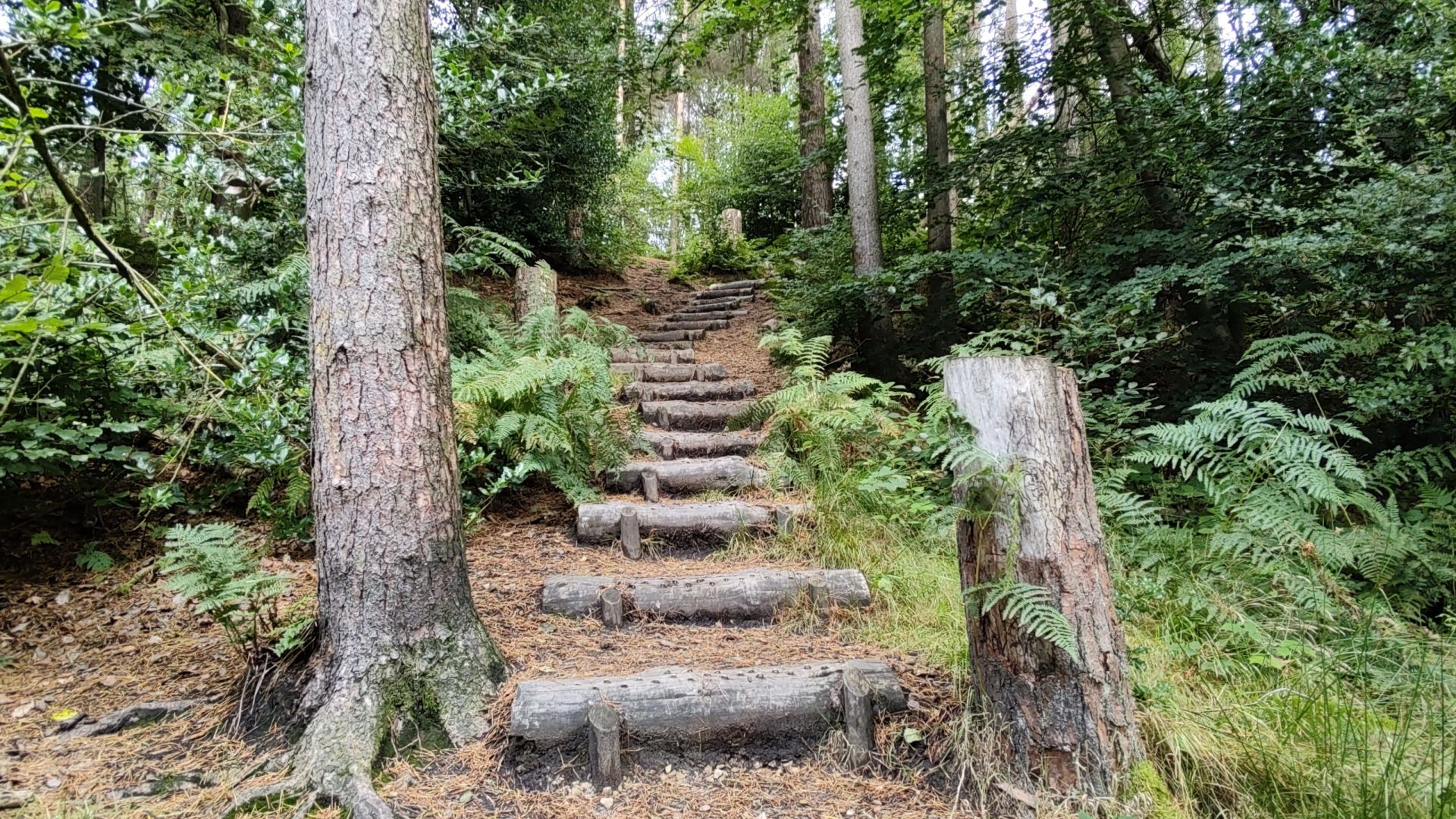 Ascending log steps