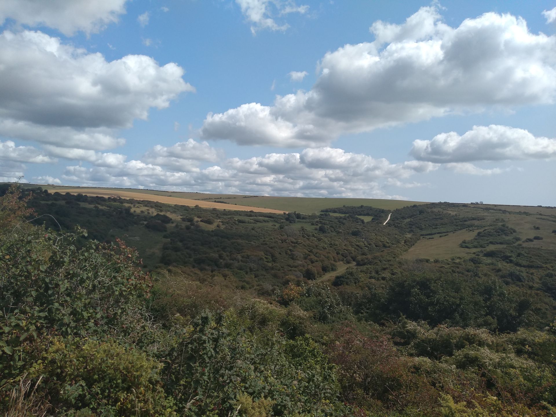 Lullington Heath