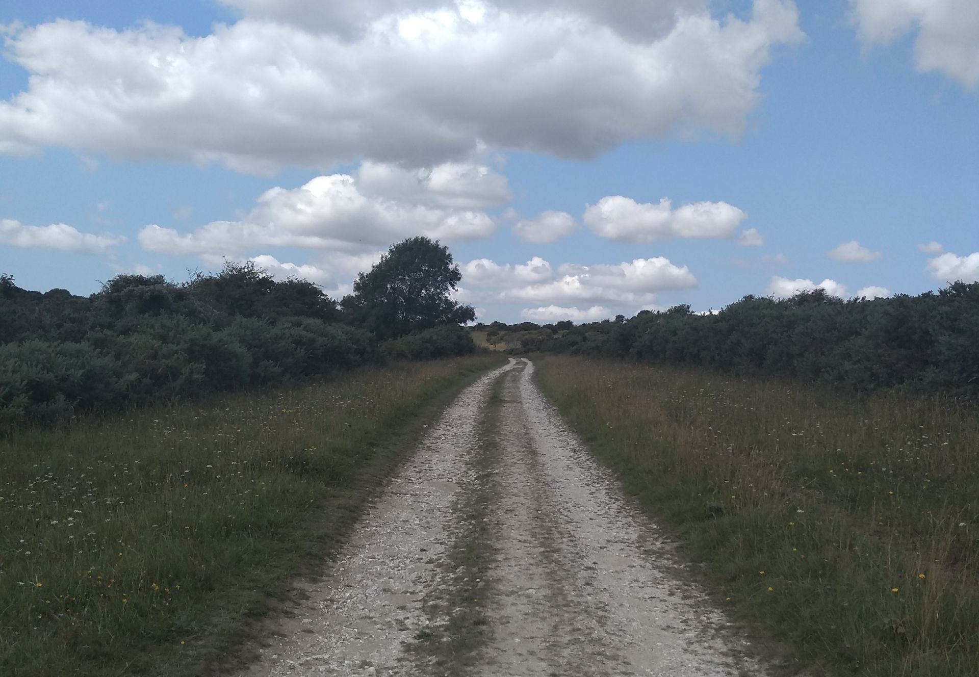 Path