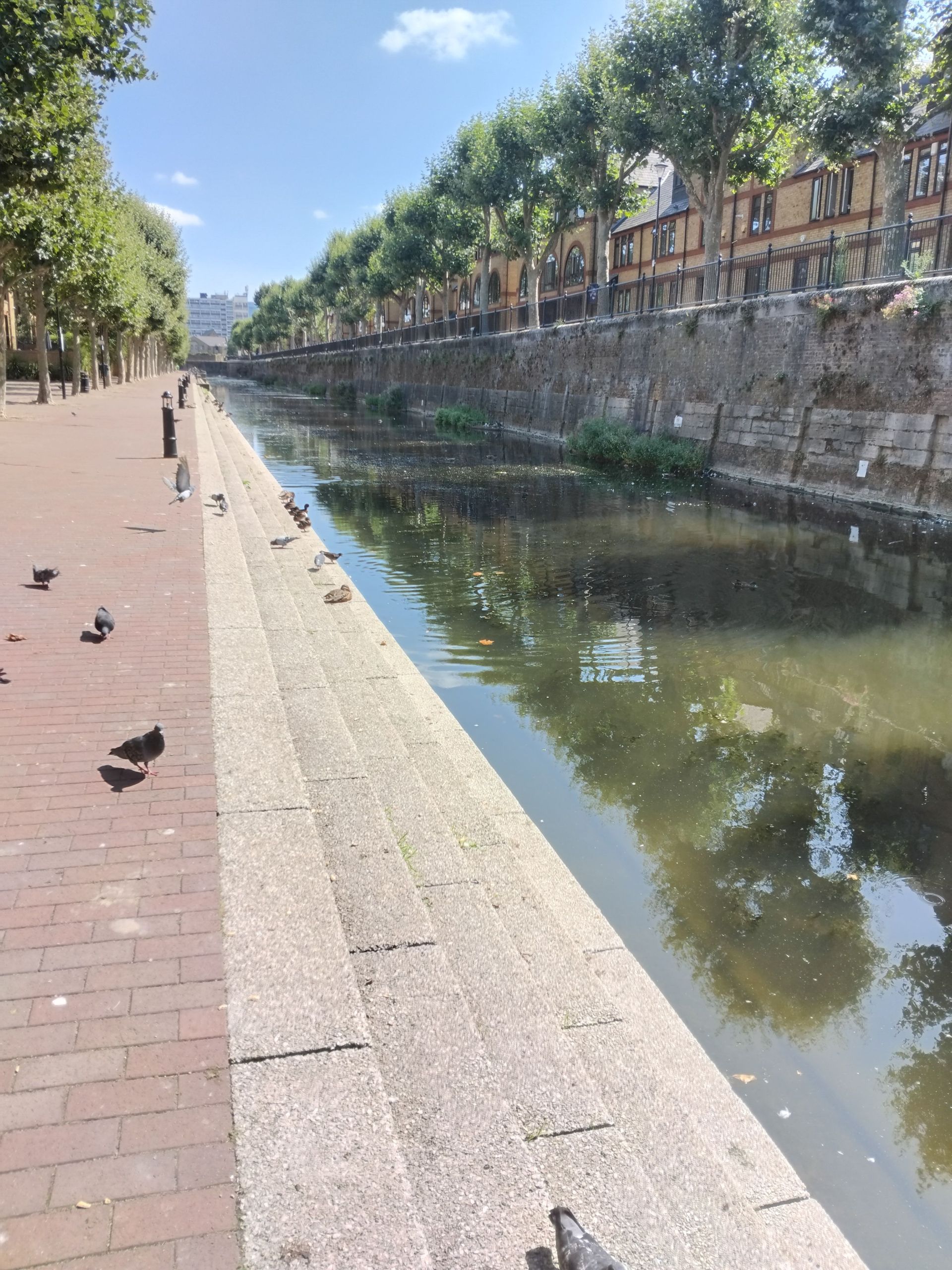 Ornamental canal 