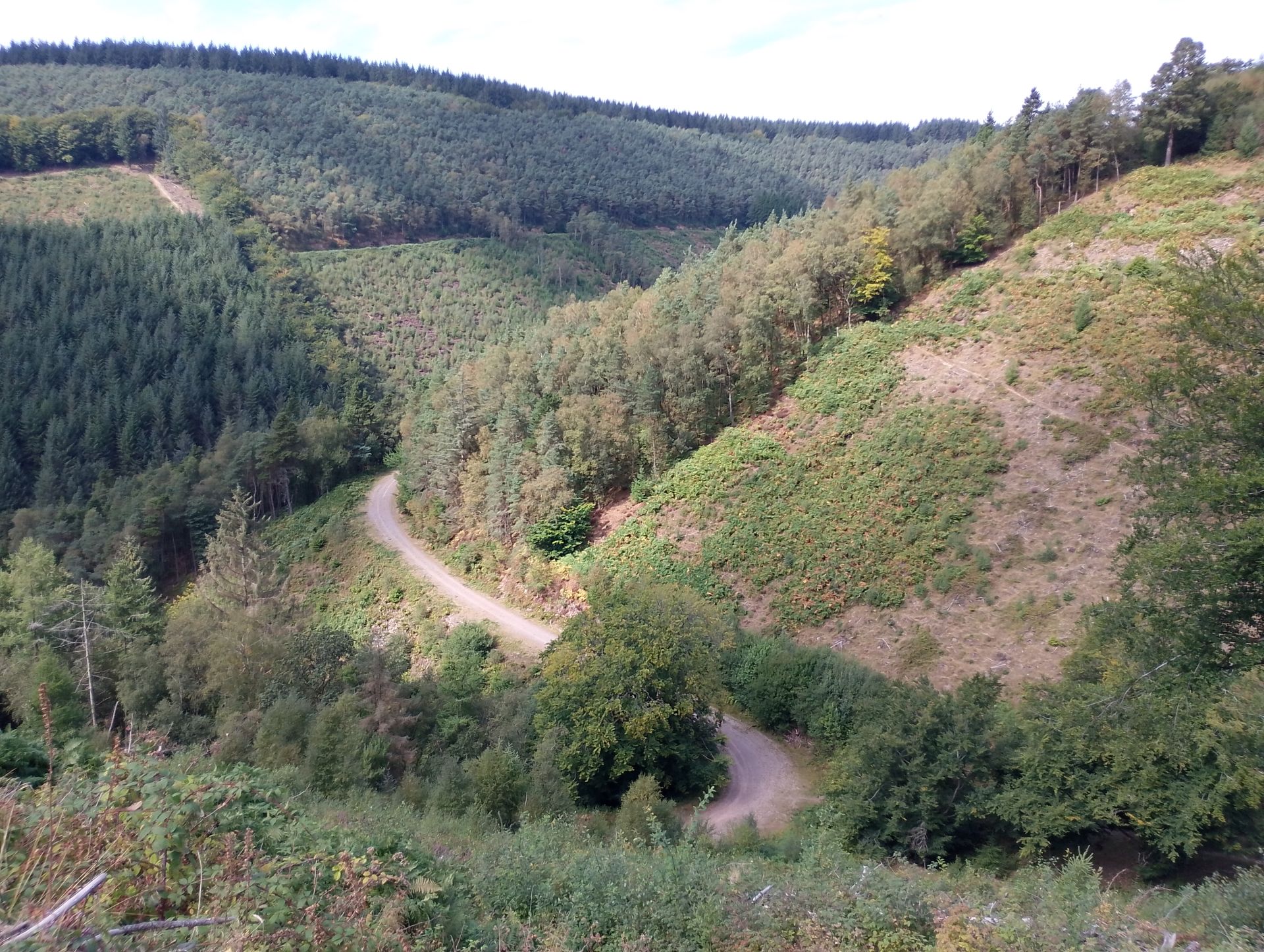 Gwyddon Valley