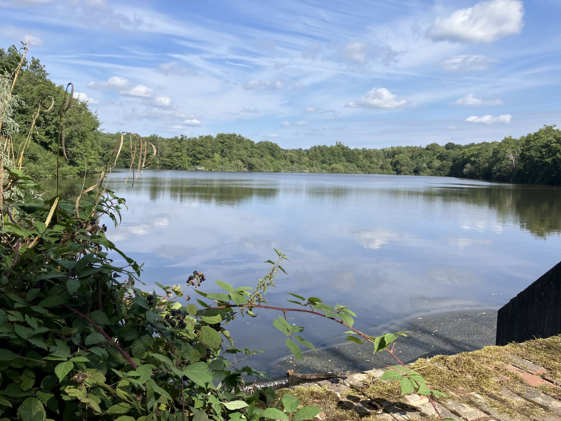 Balcombe Lake