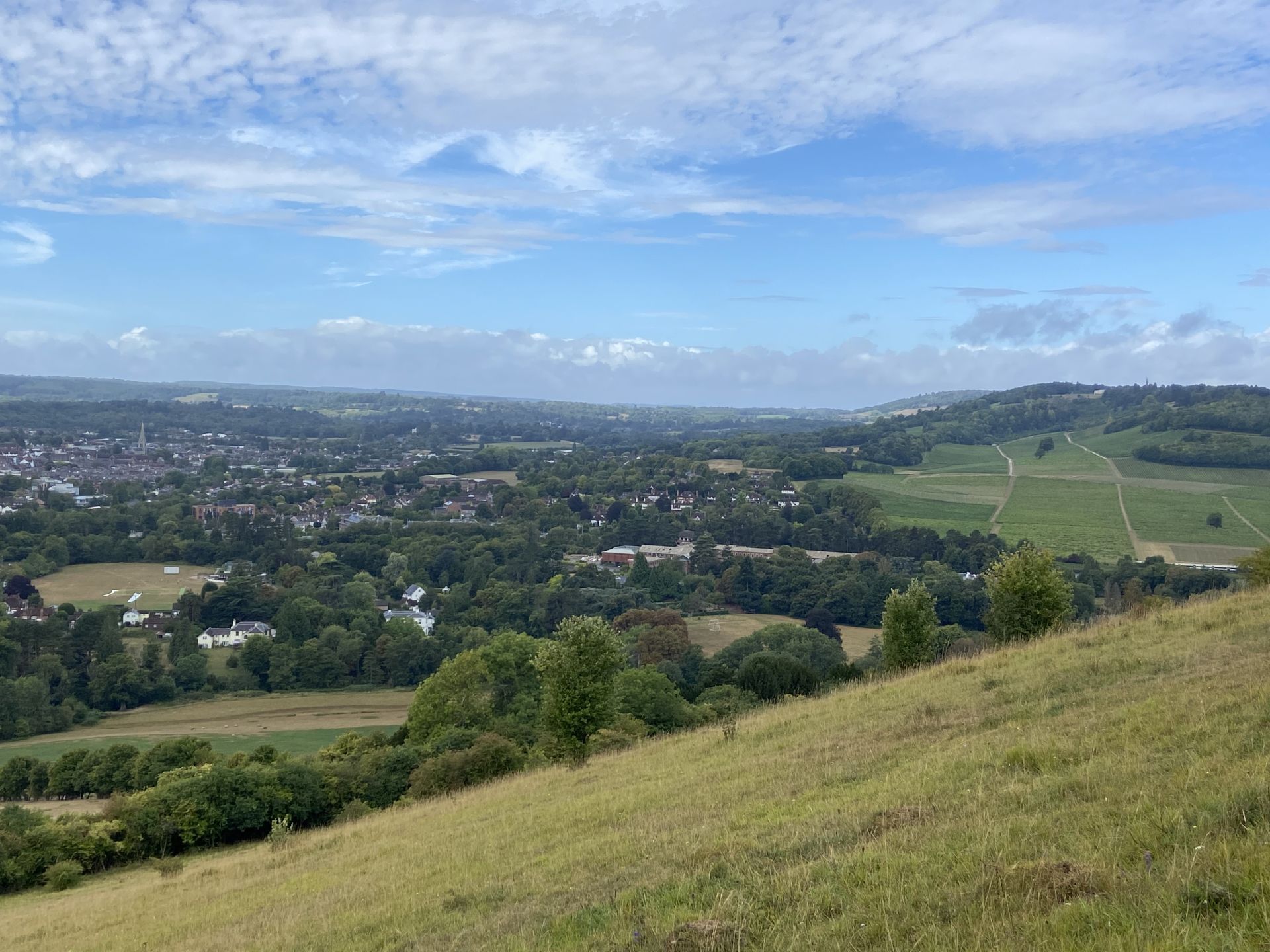 Box Hill