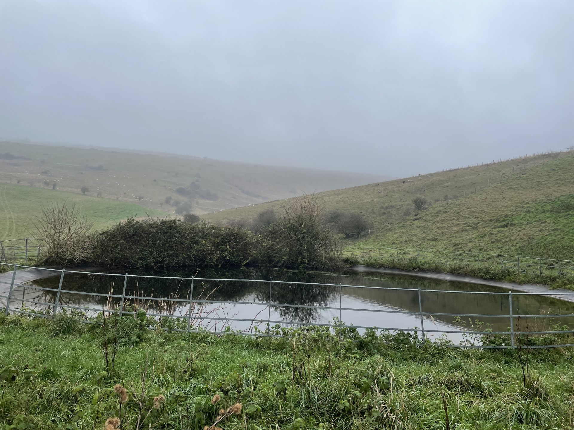 Dew Pond south of Bible Bottom