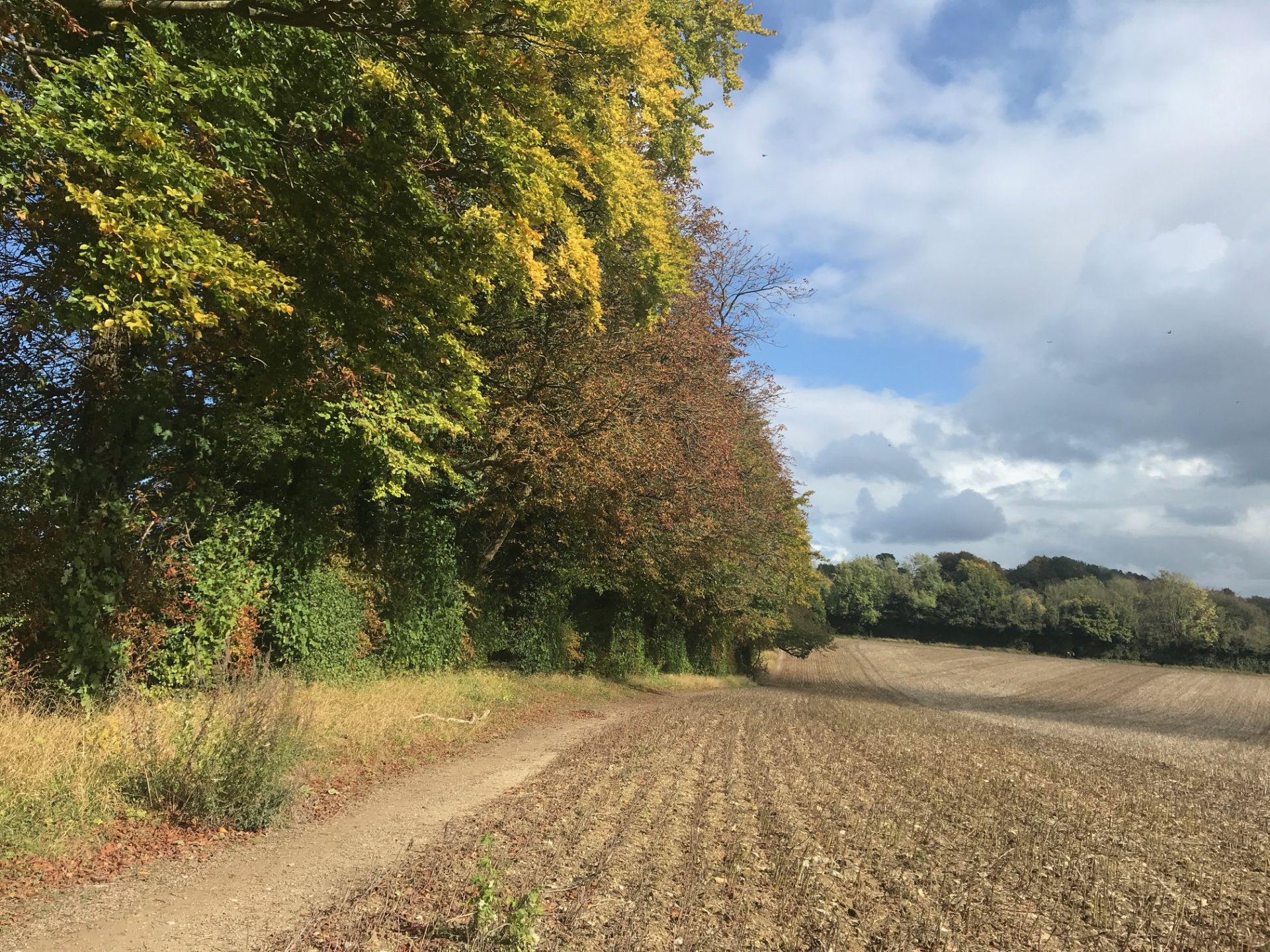 Park Downs, Chipstead