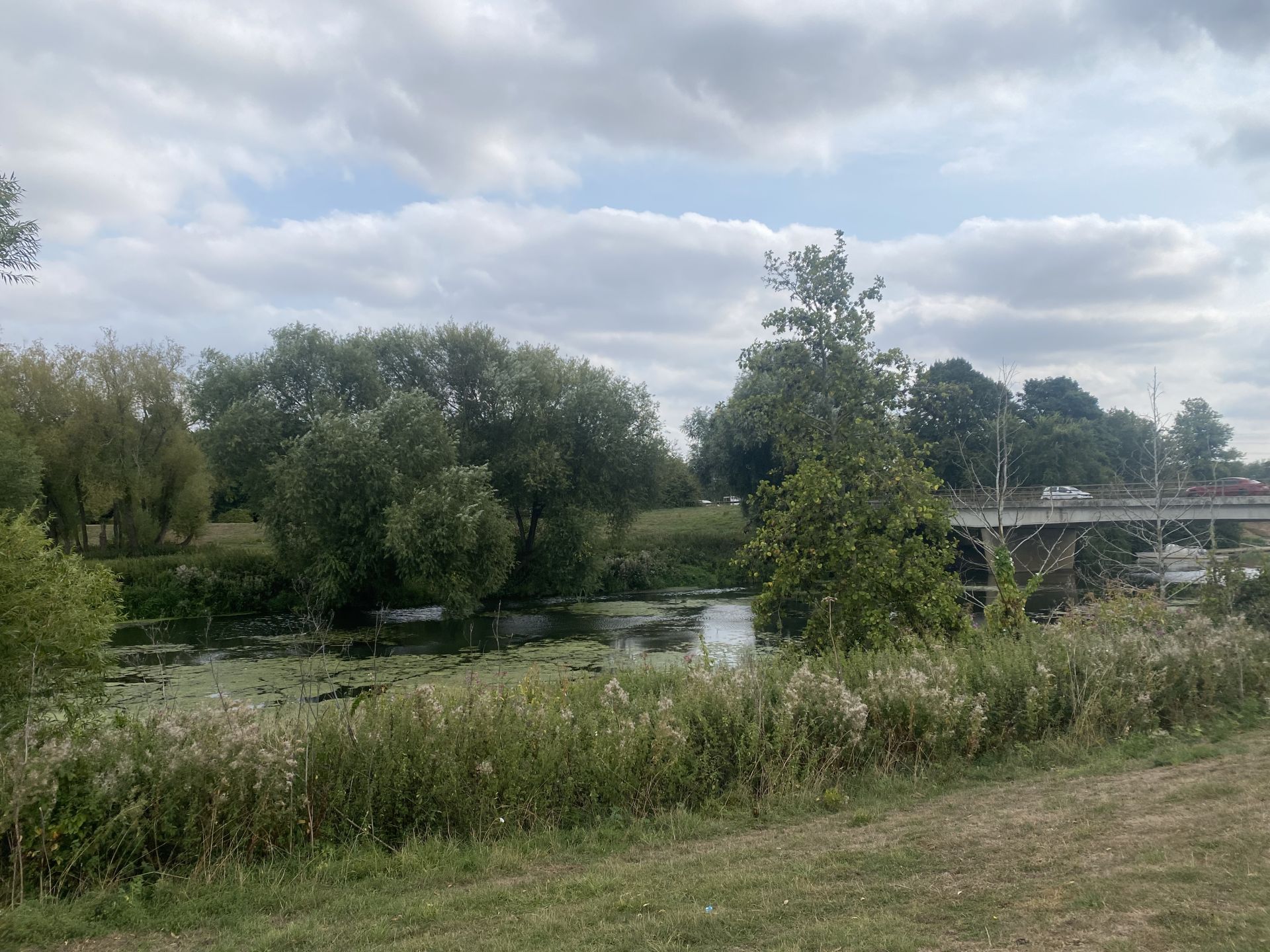 The washlands