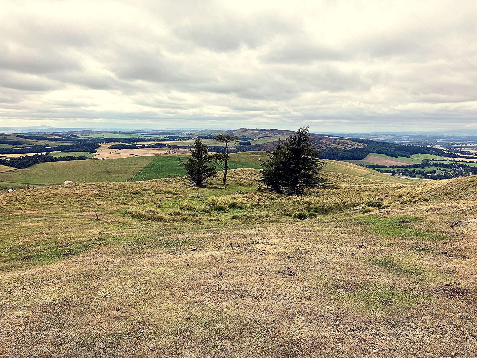 Long view south