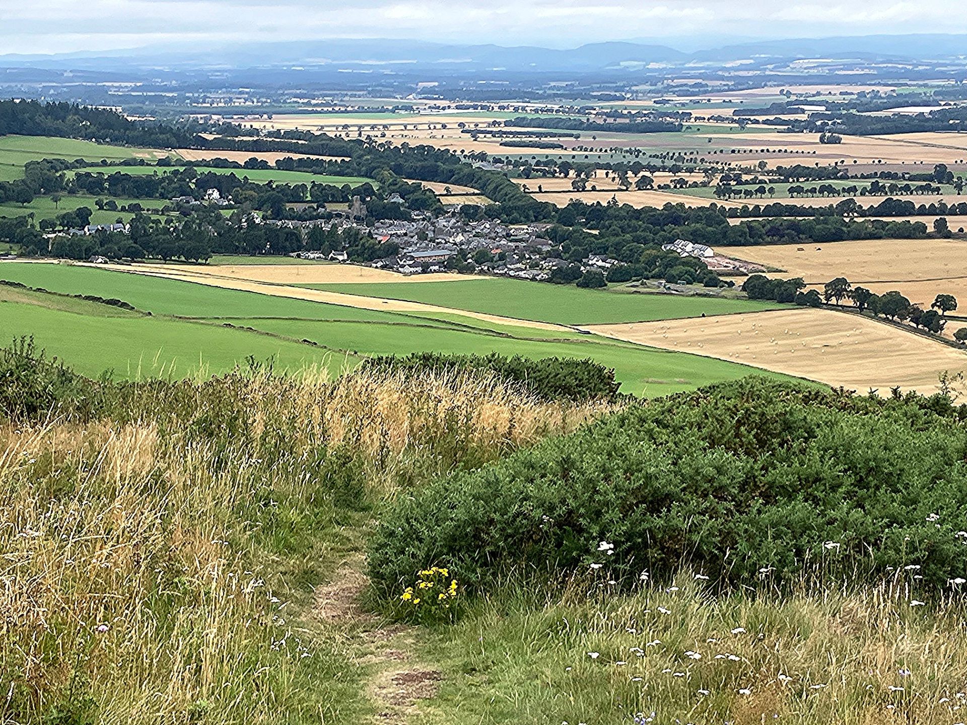 Newtyle and Strathmore