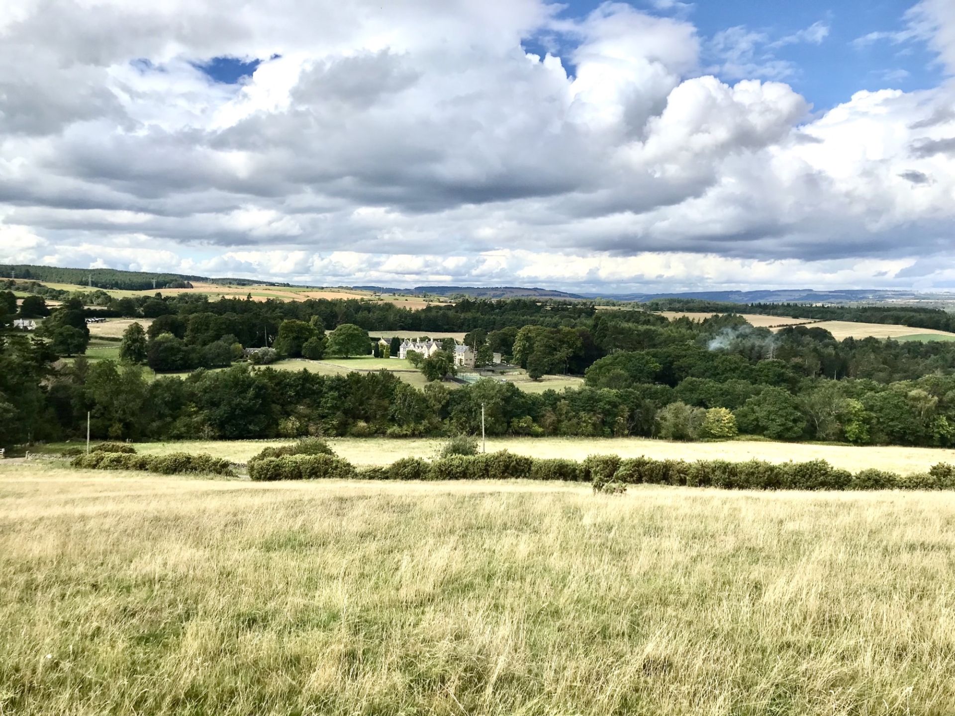 view of fields
