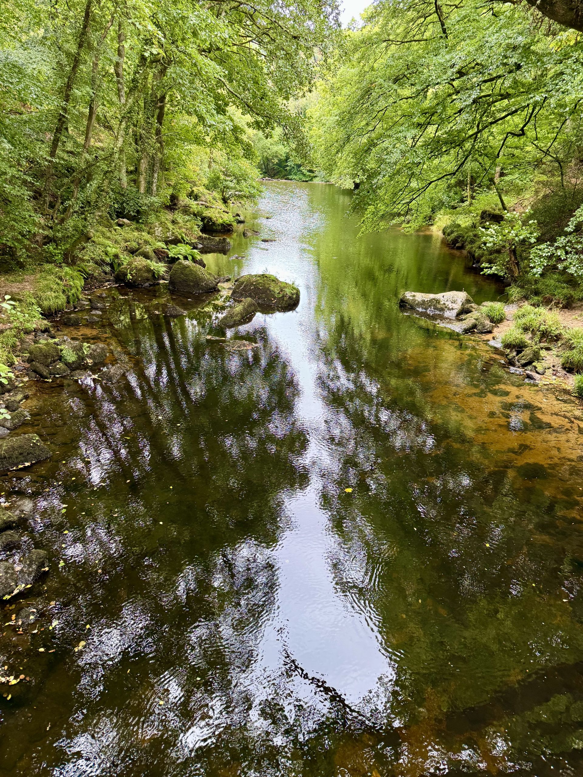 The Teign