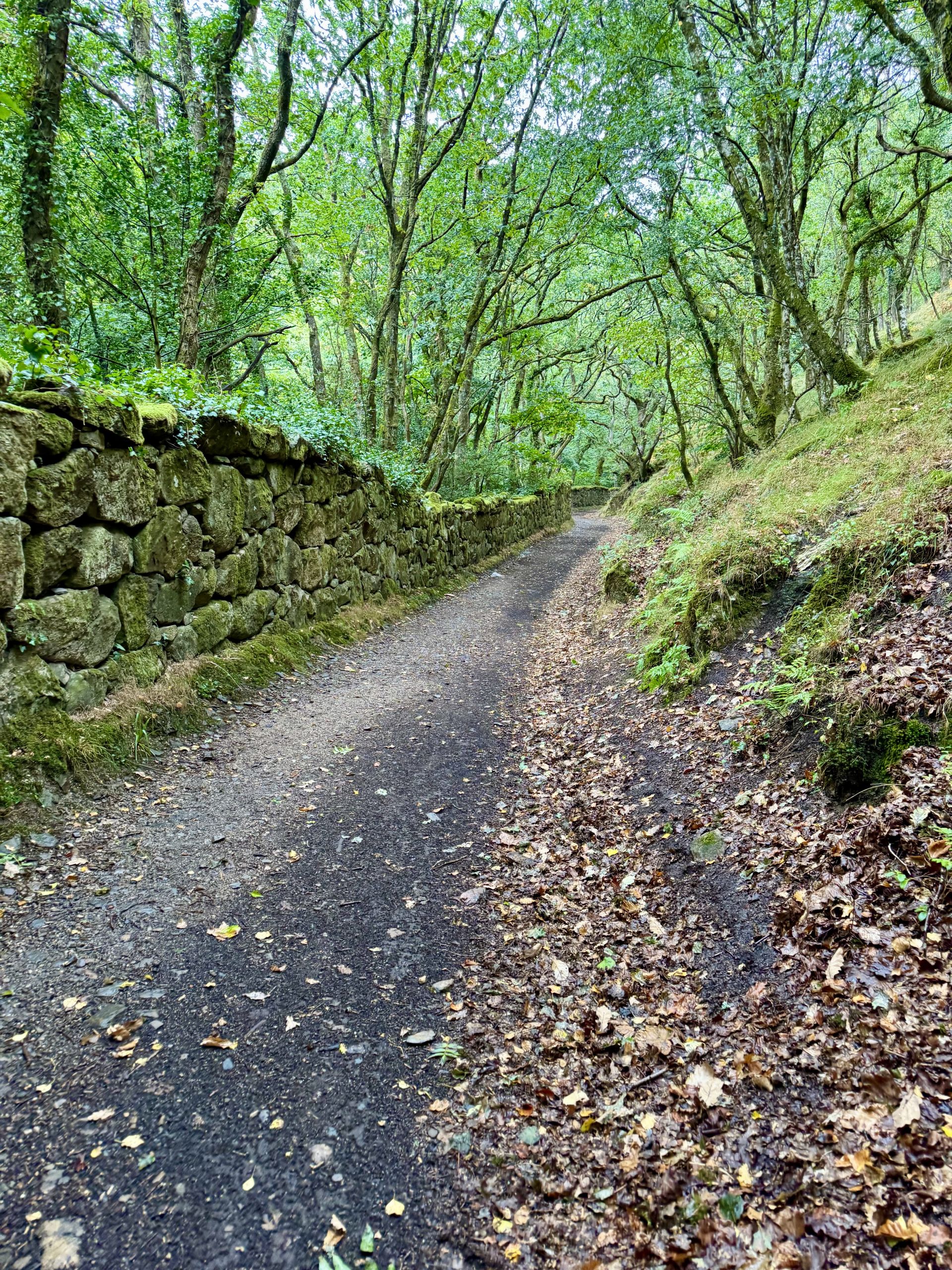 Riverside Path