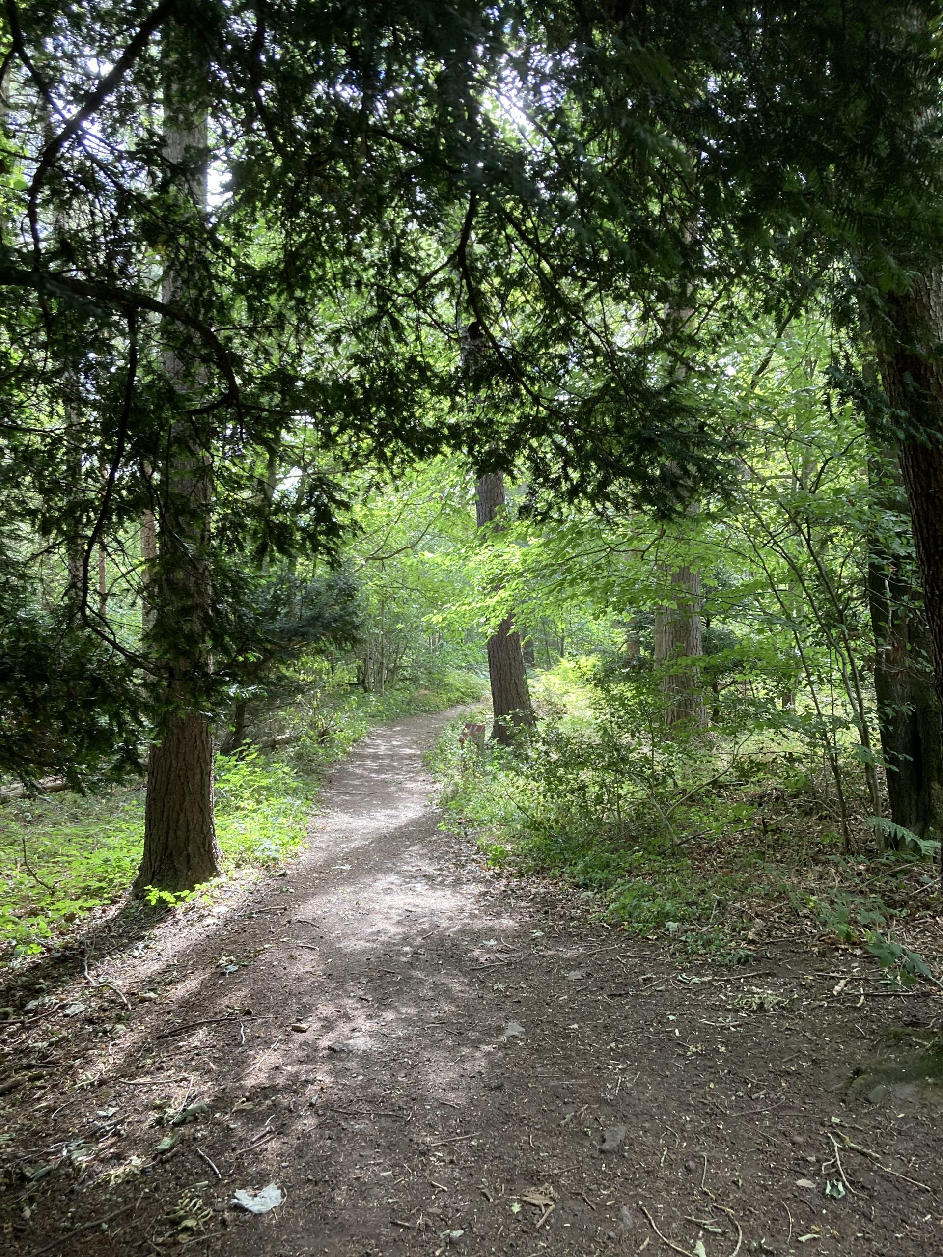 Path