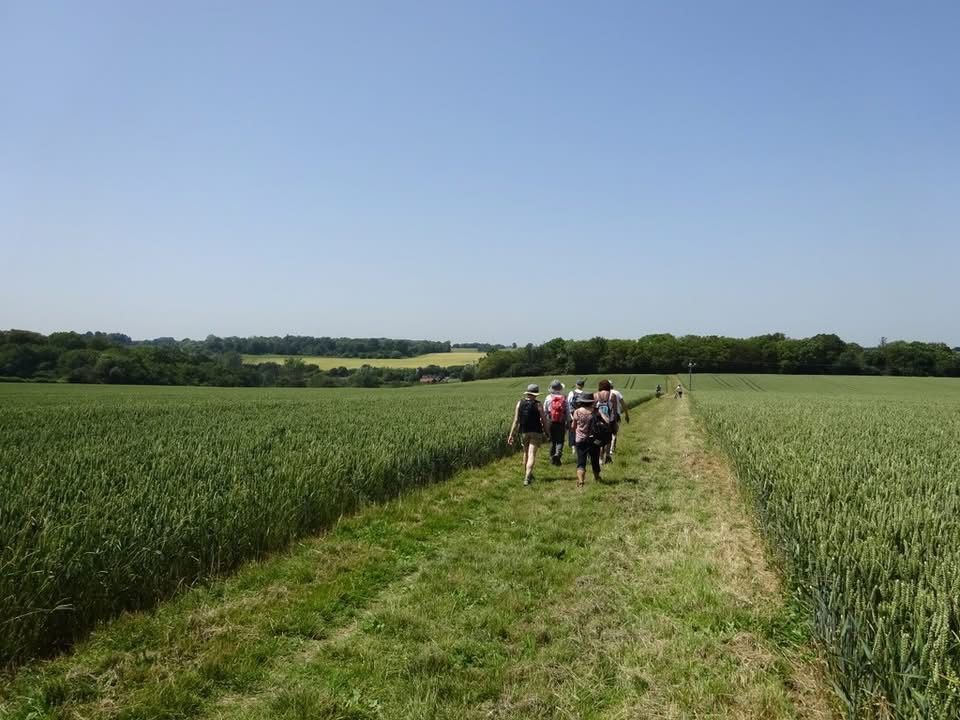 Path through field