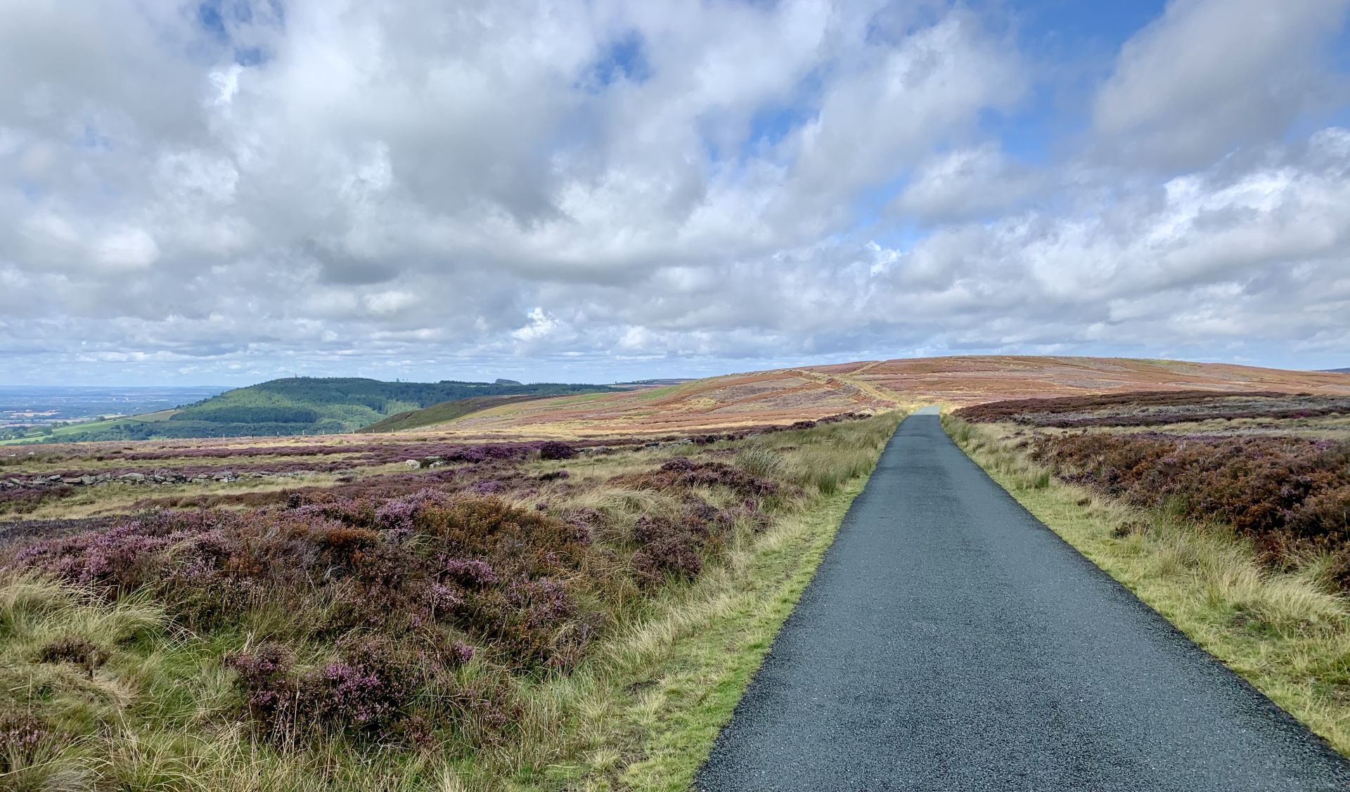 The path on Ingleby Moor