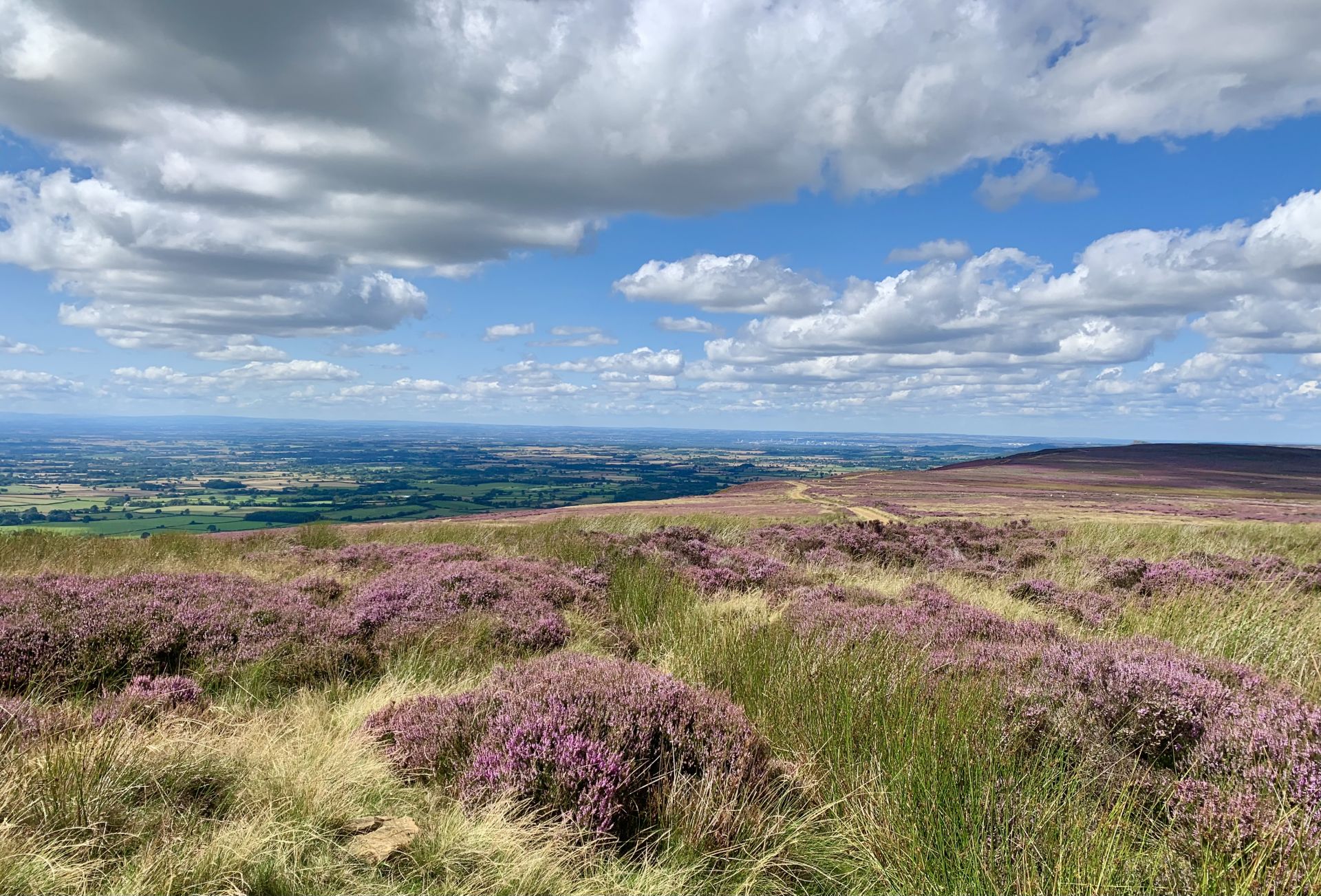 Moorland view on the Cleveland Way