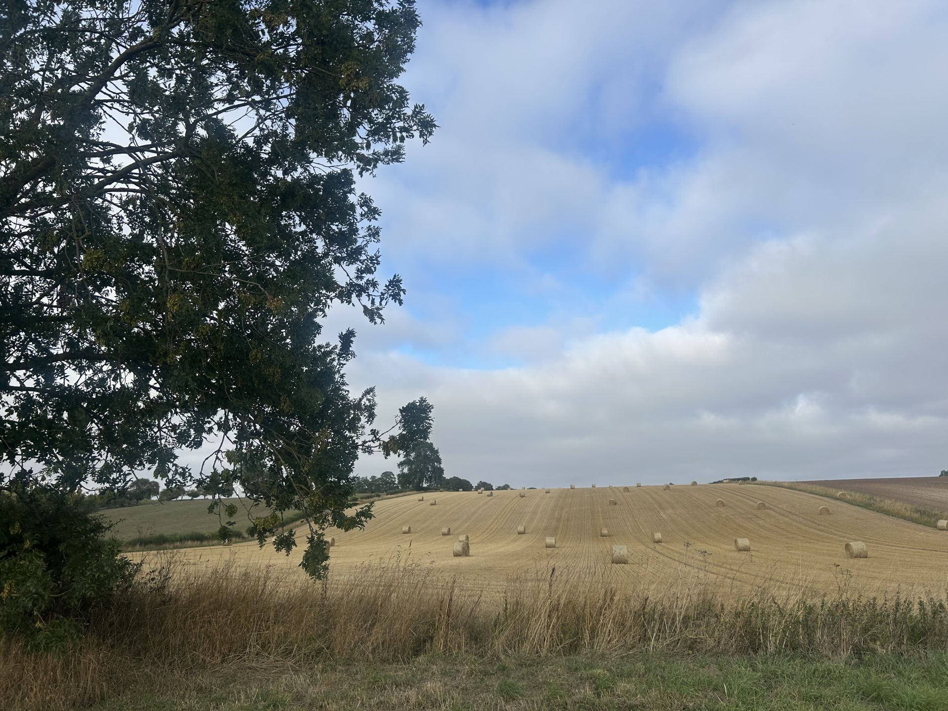 View over the Wolds 