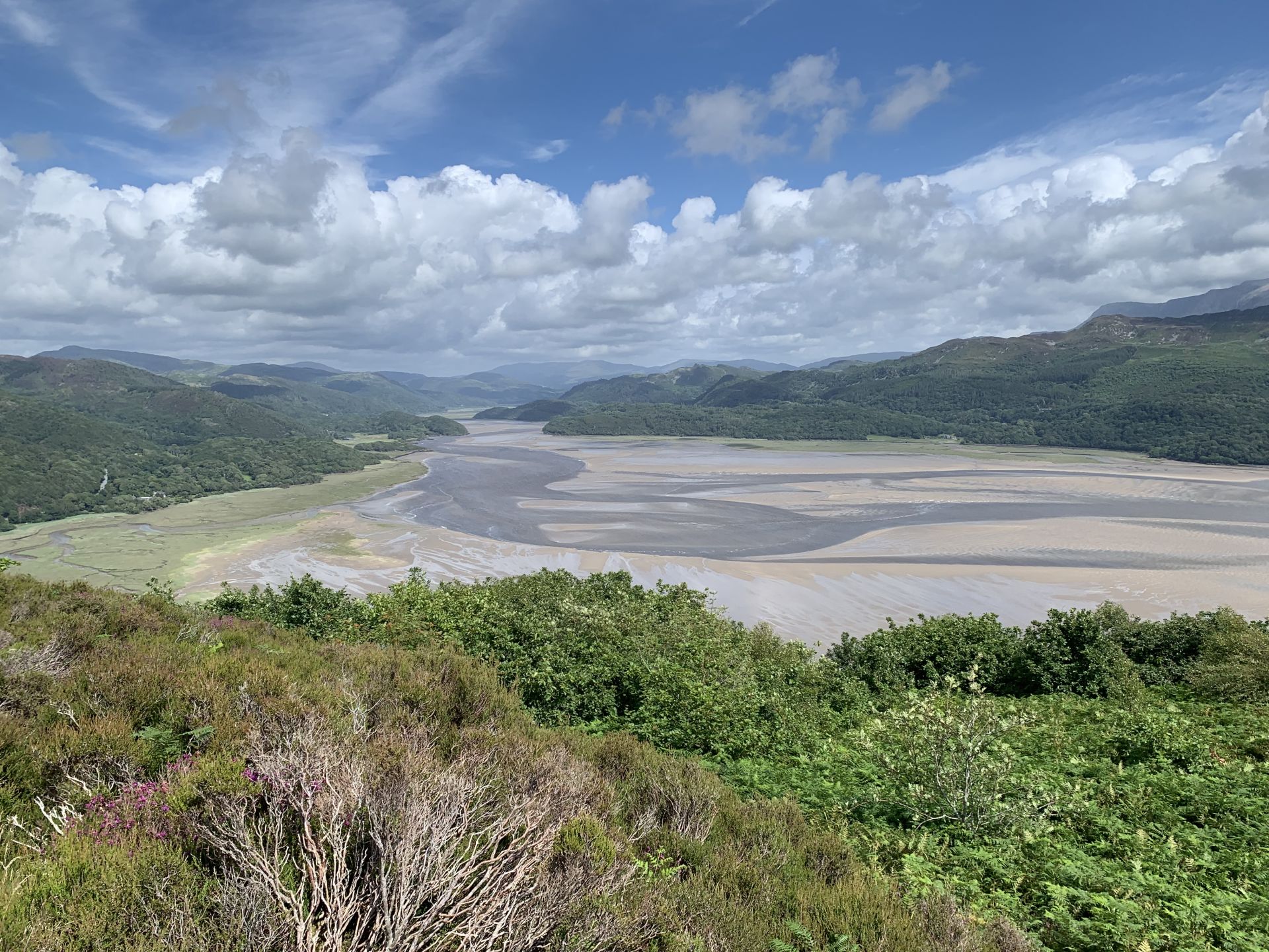 View of the estuary