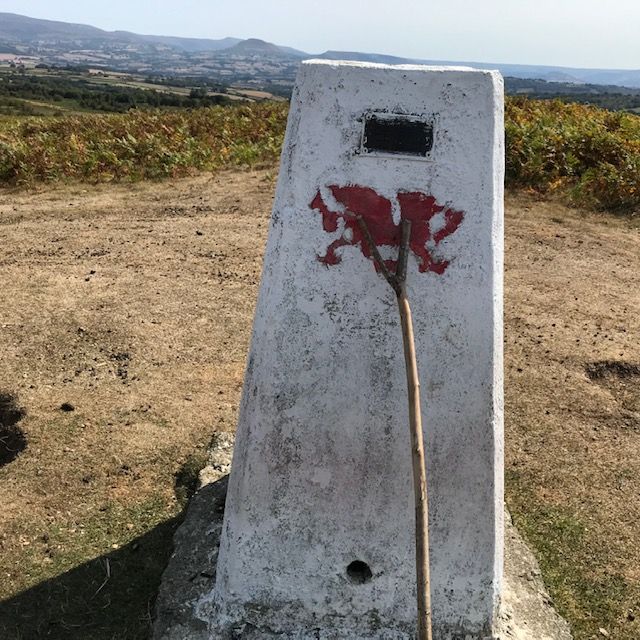 Trig Point Mynydd Fforest
