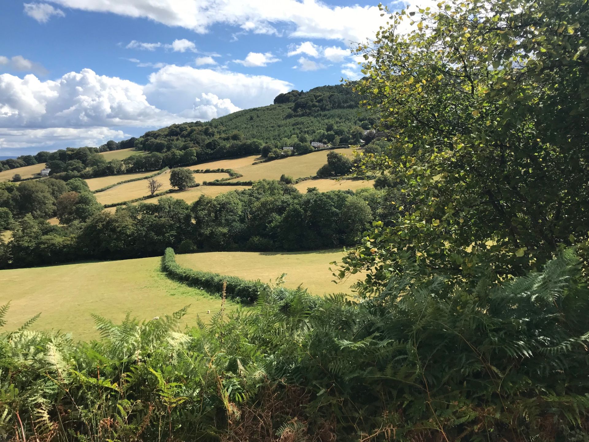 Looking across the valley to the Goose and Cuckoo.