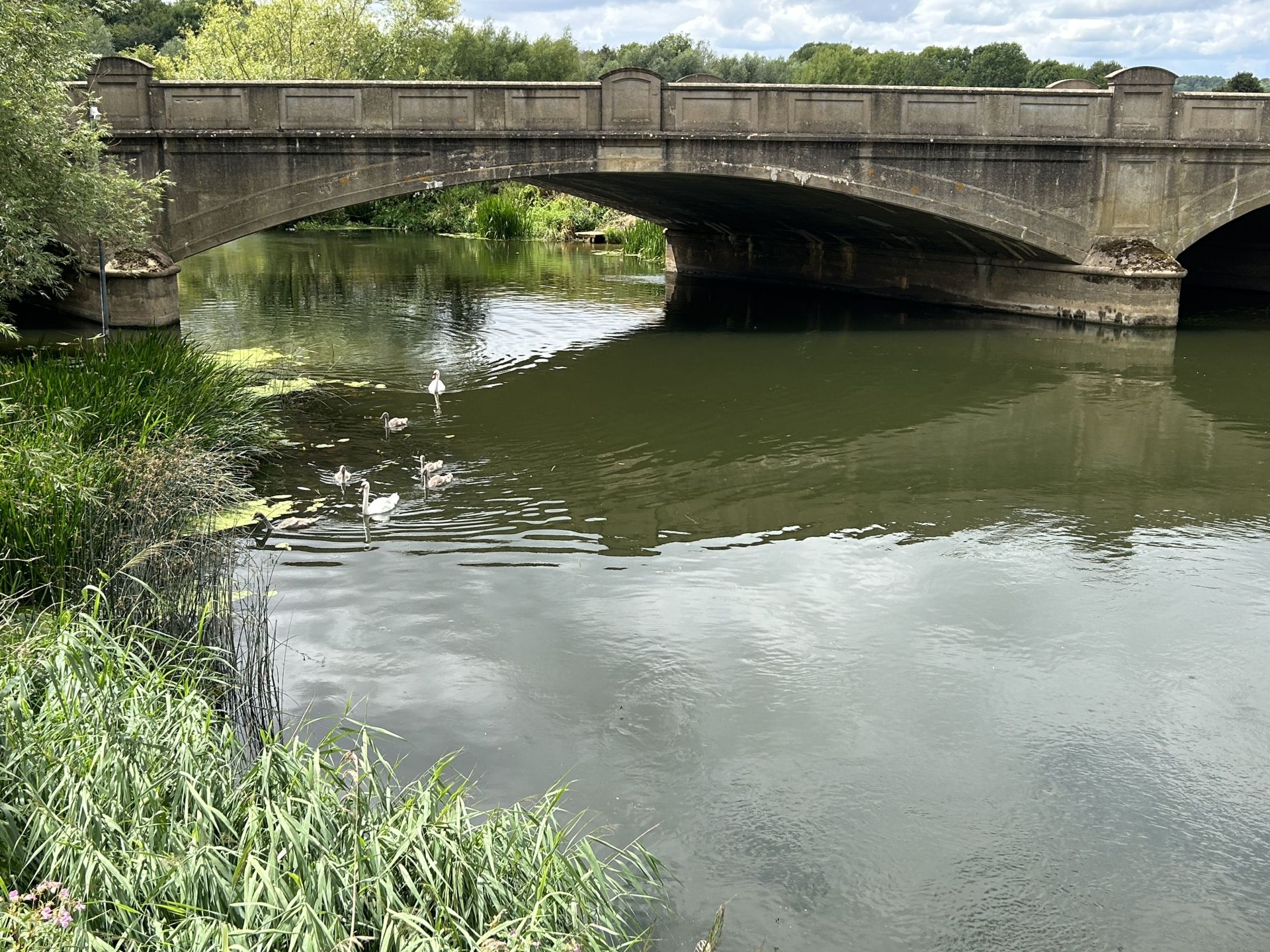 Pershore Bridge