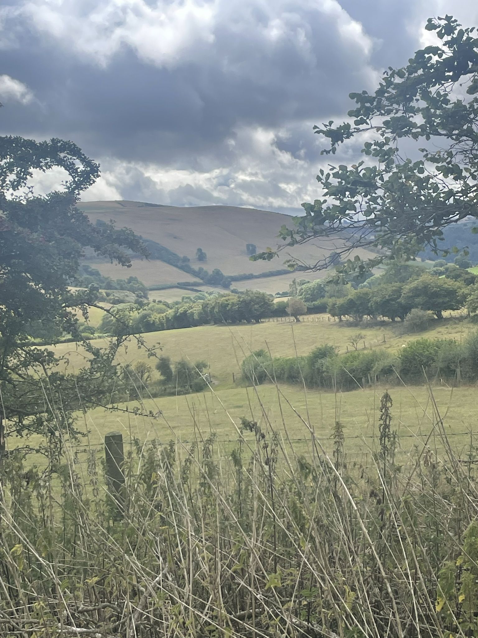 View