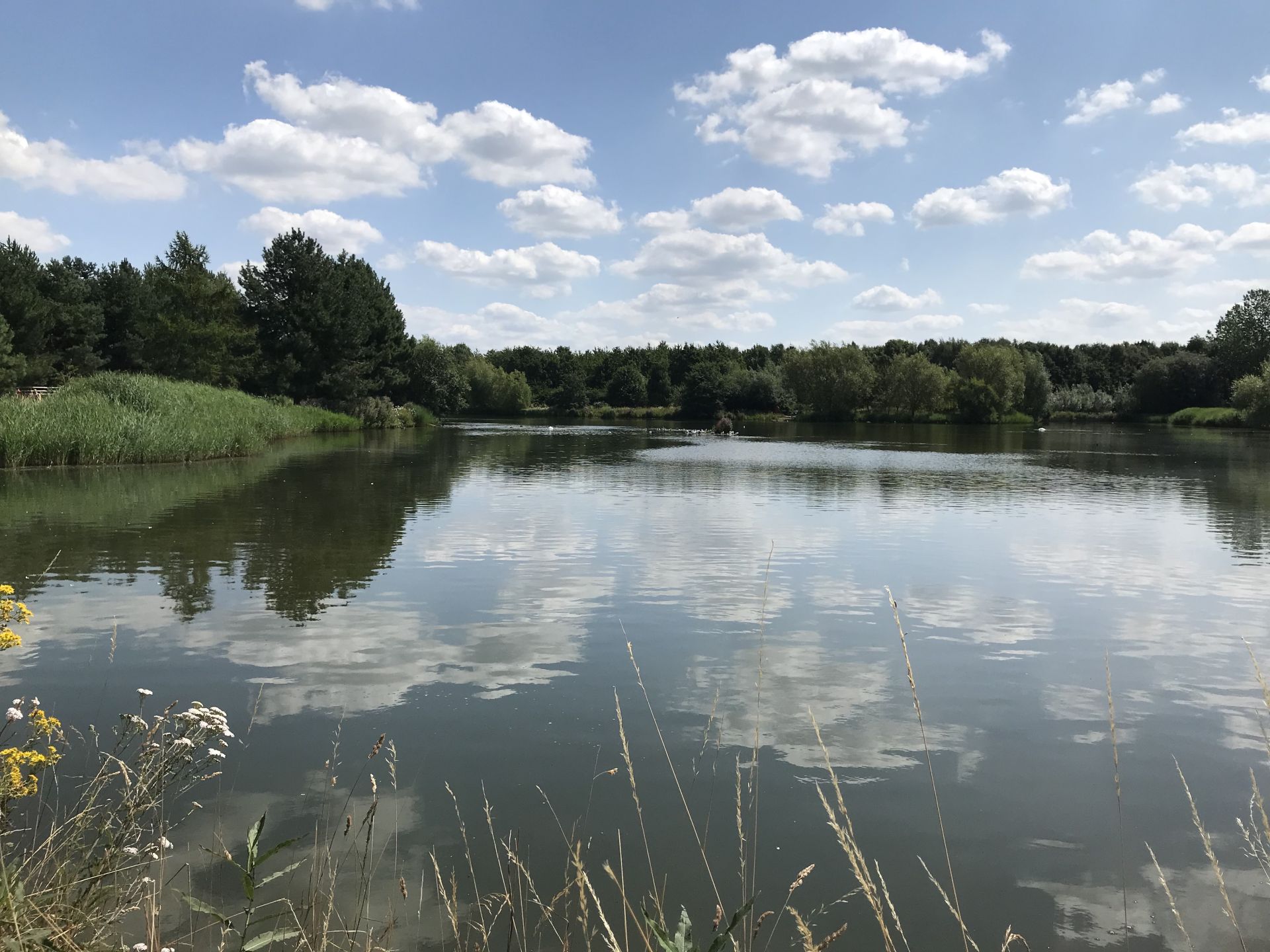 Upper Lake, Newstead