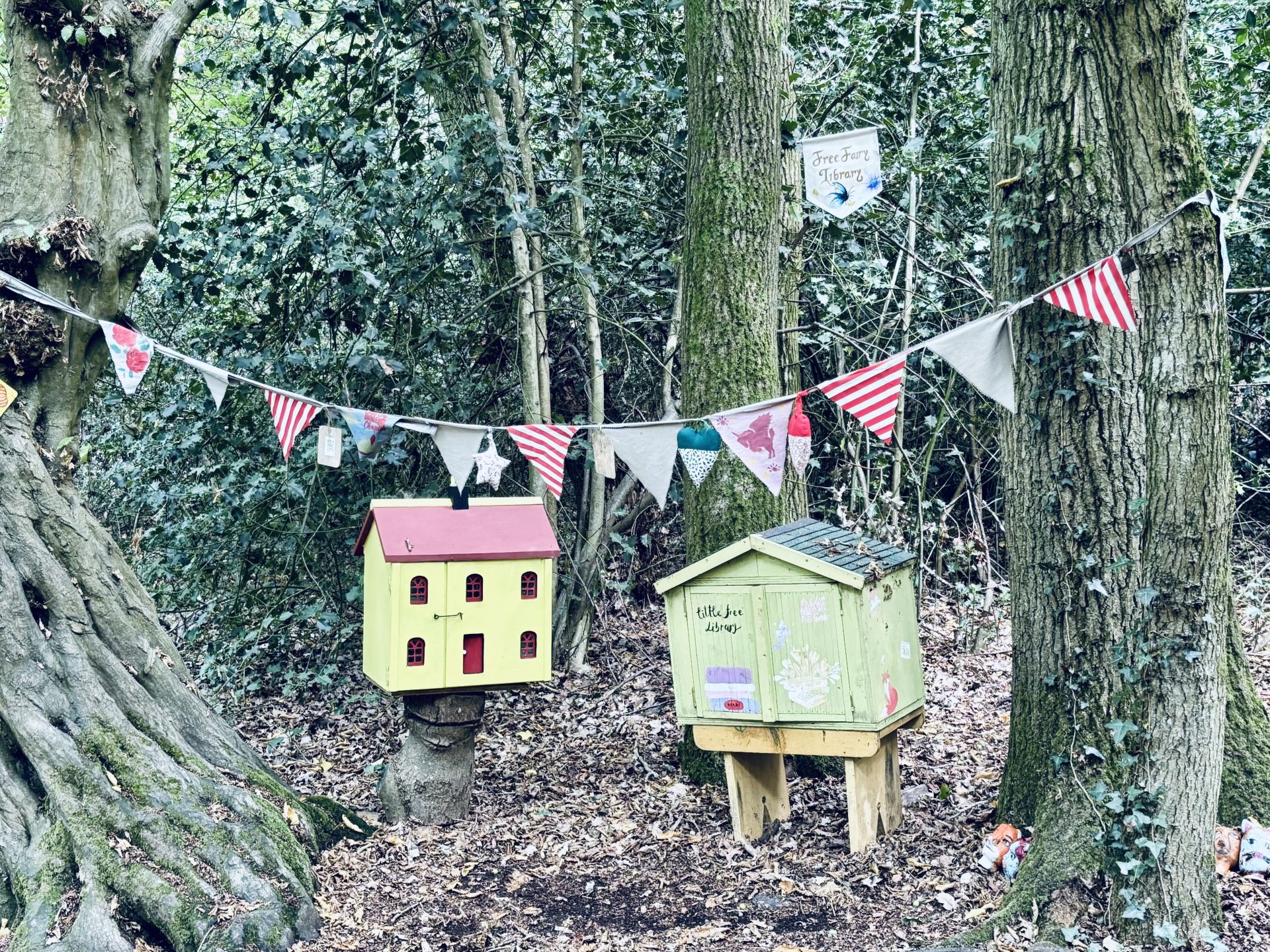 Fairy Library @ Little Amwell