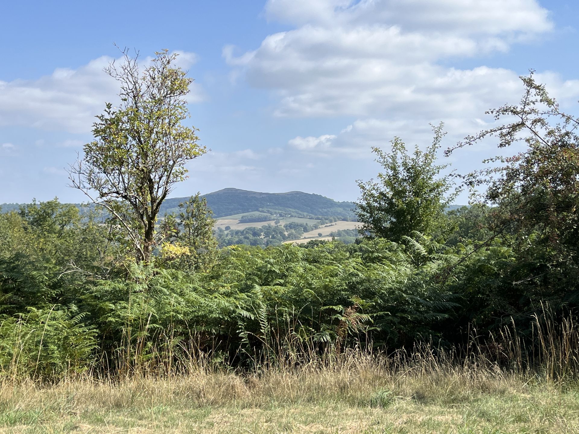 Looking east towards the Malverns