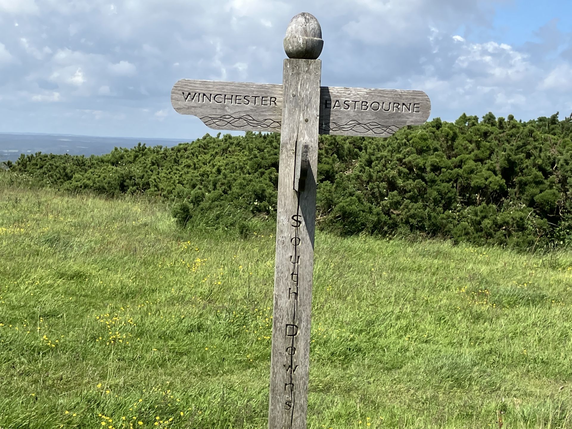 Sign Post