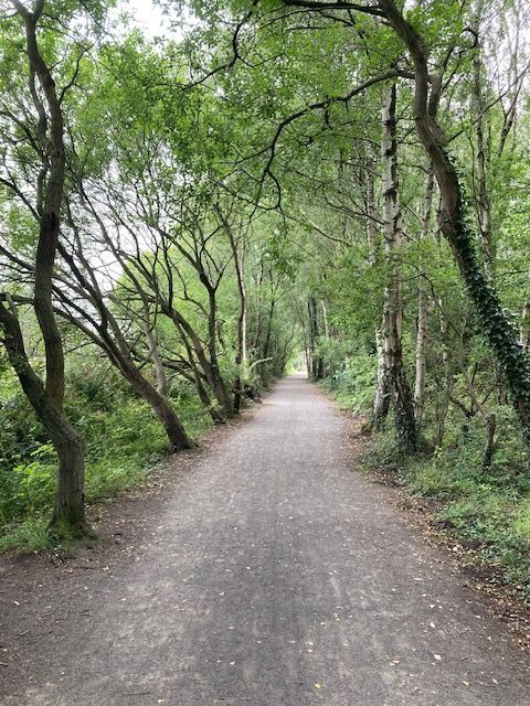 Path