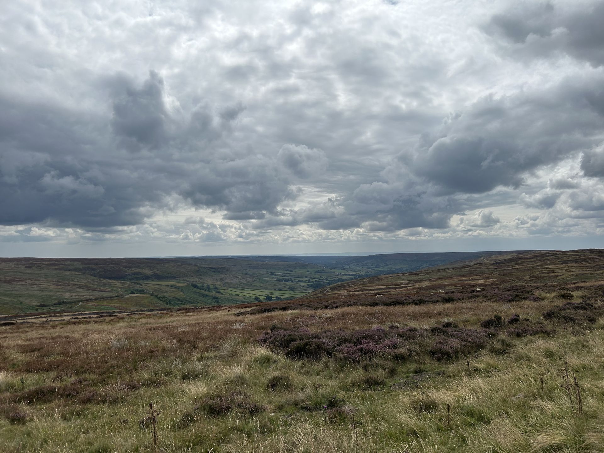 View towards Rosedale