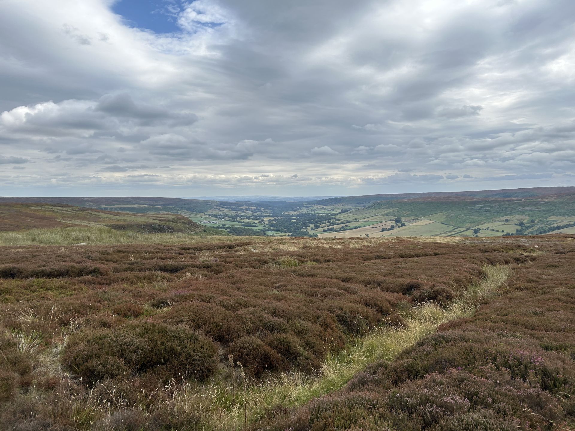 Towards Farndale 