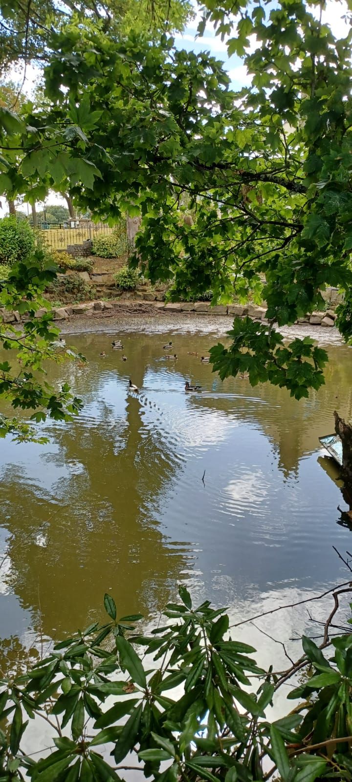 Lake on walk