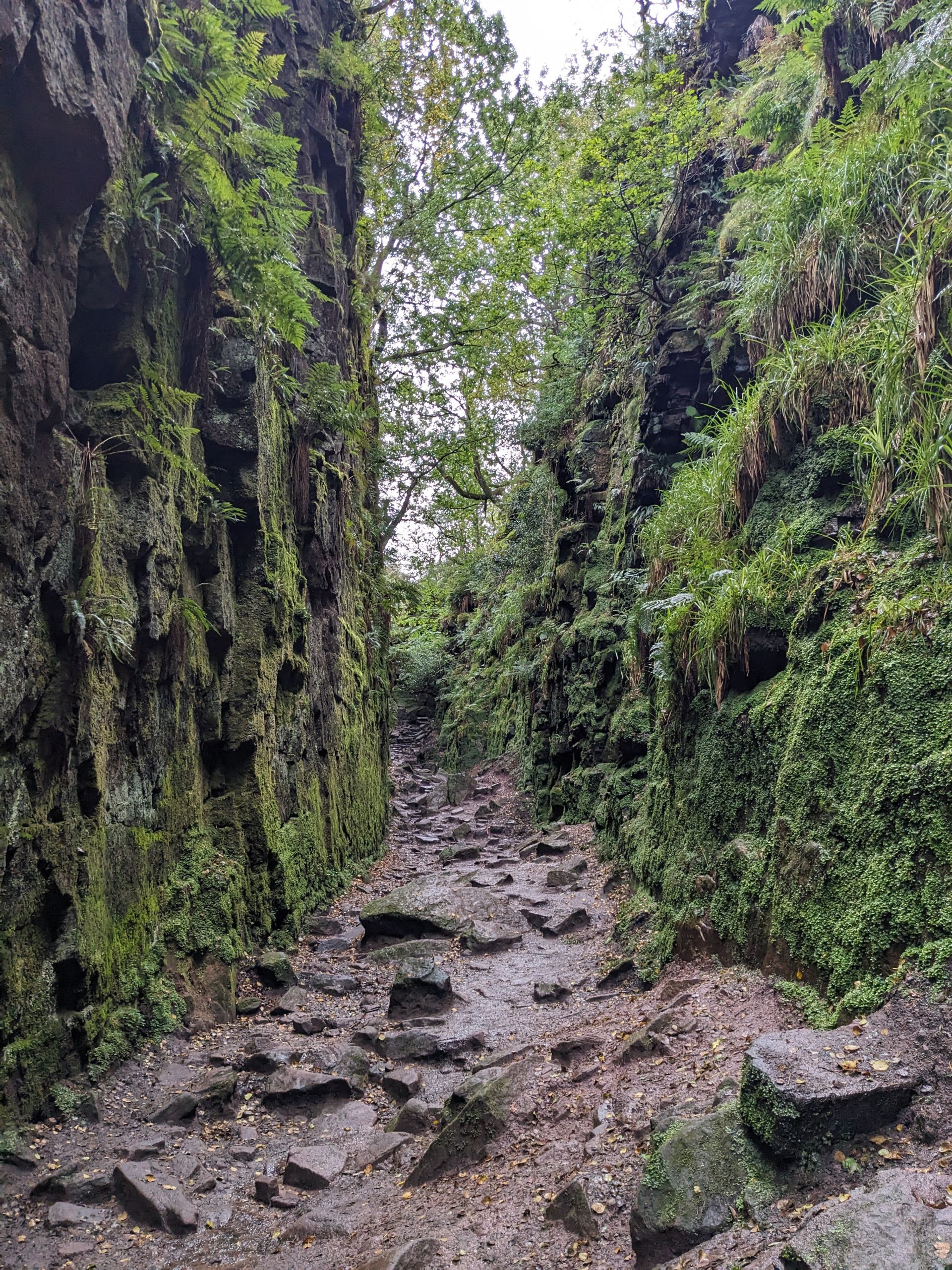 Lud's Church last September
