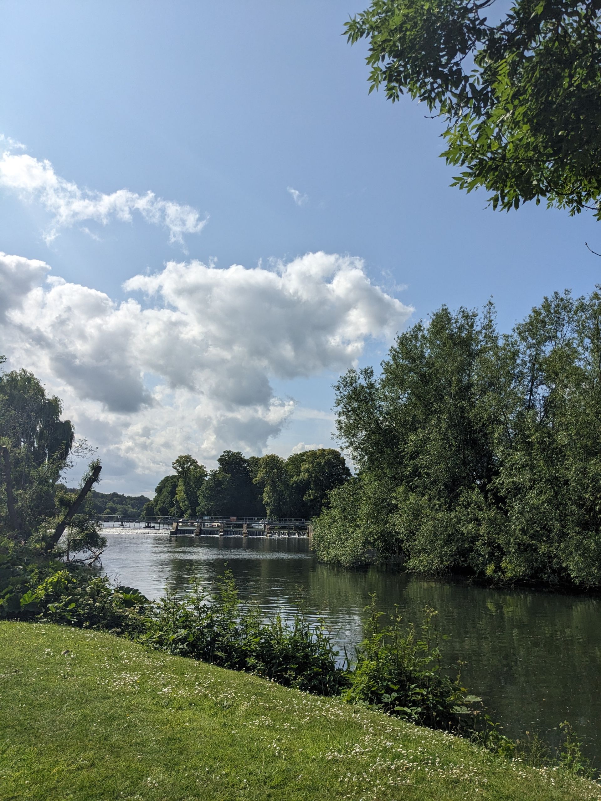 A view of the Thames from a nearby bank